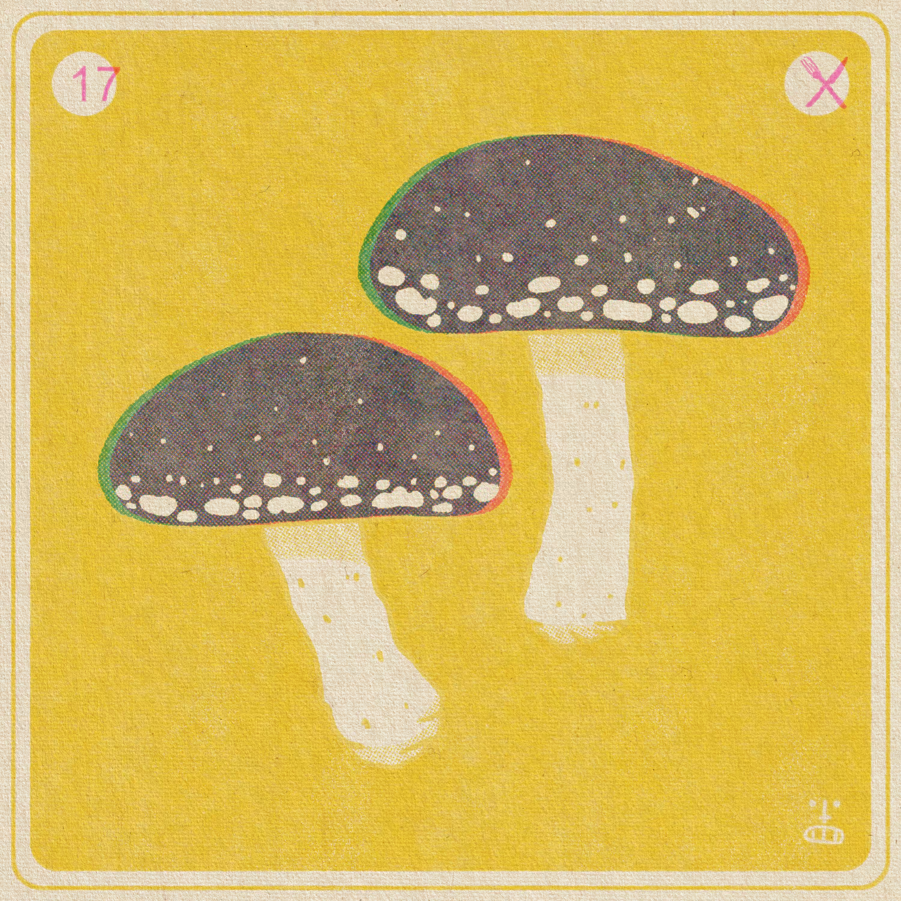 17- Lentinula edodes (Shiitake)