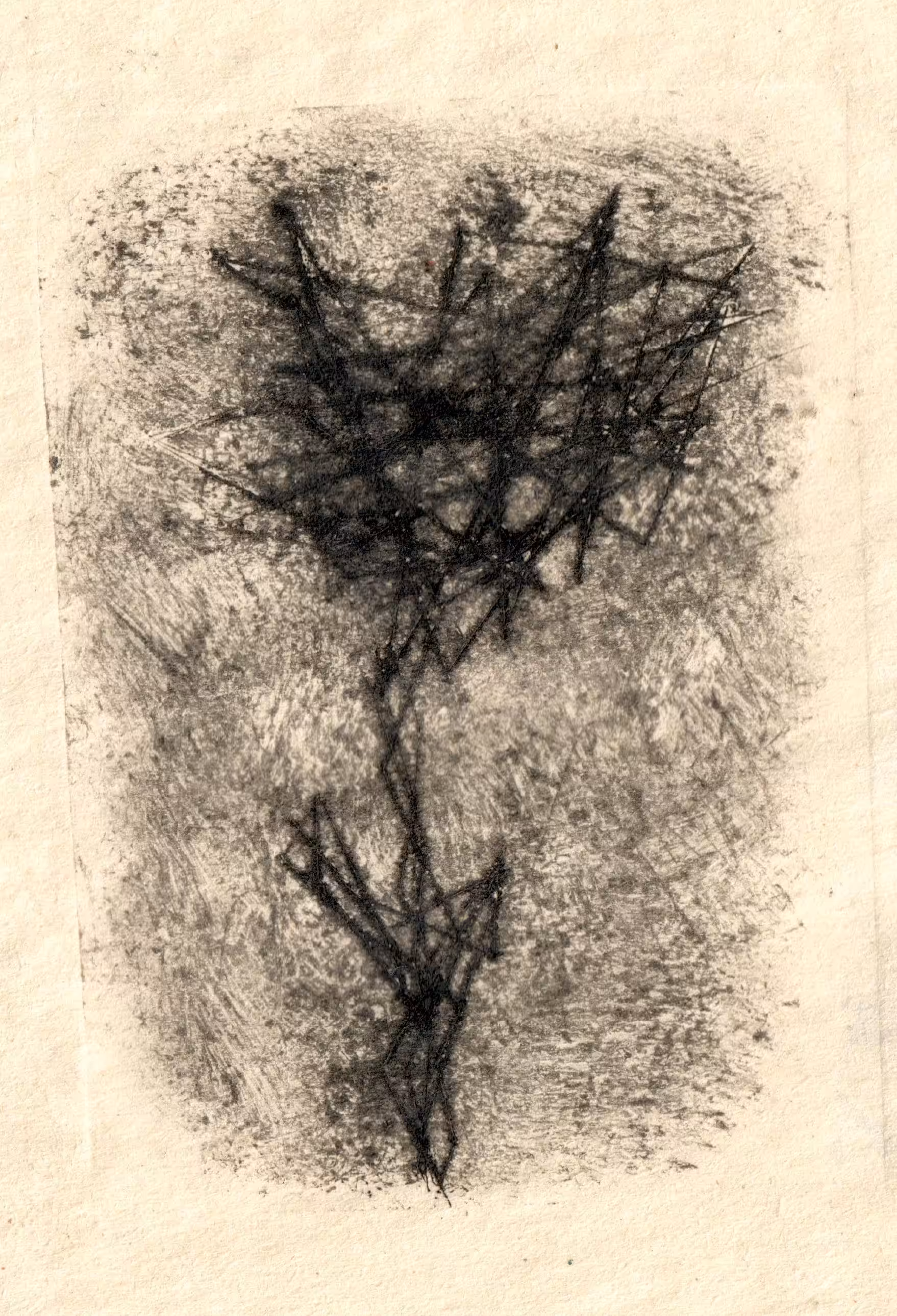 prints: a flower