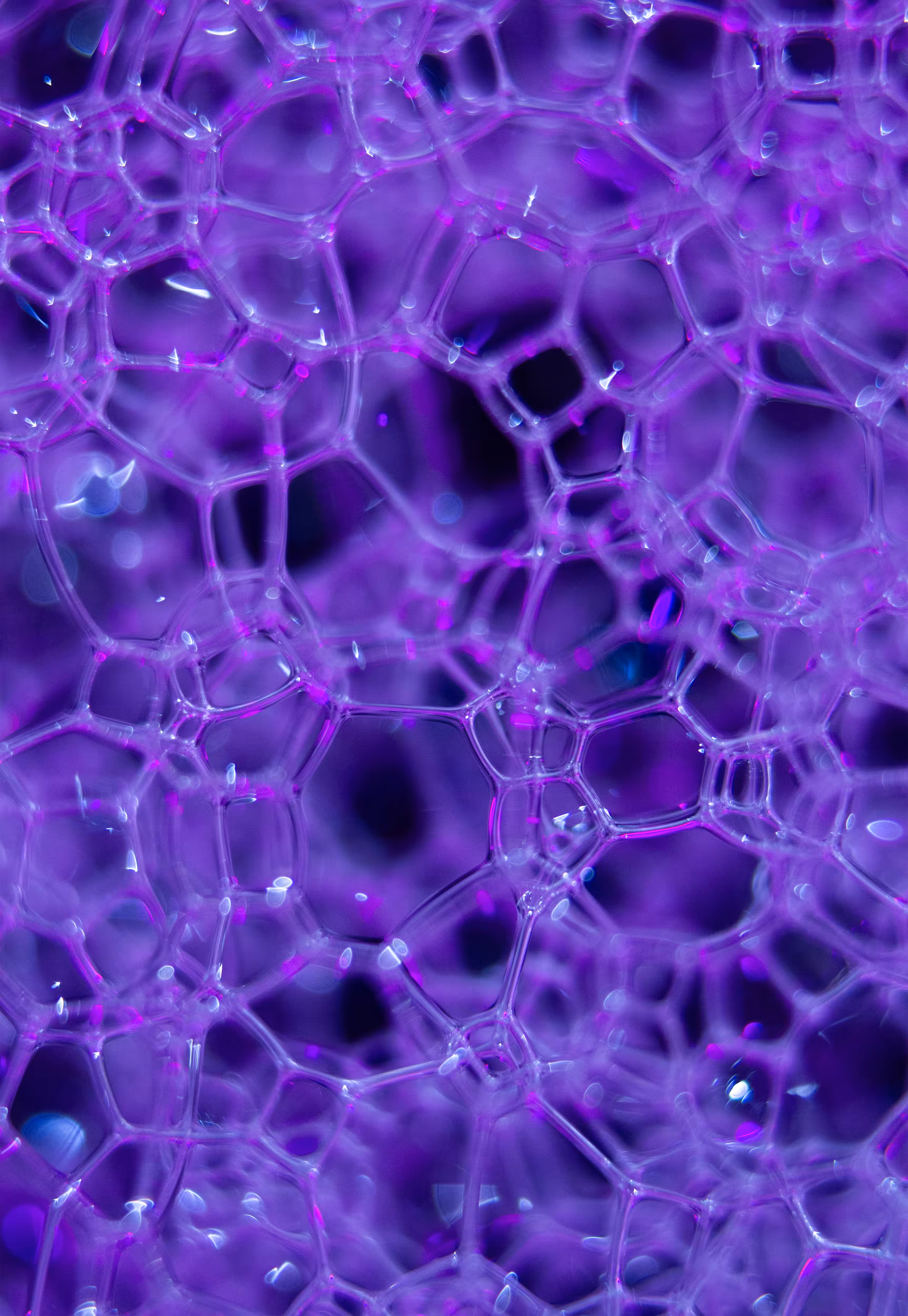 Abstract World of Soap Bubbles: #56 Bubbles