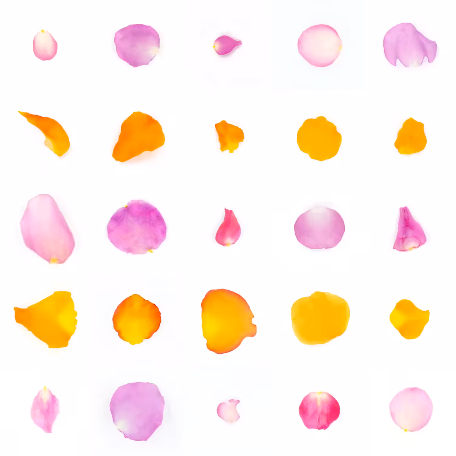 Infinite Petals 5x5#20731
