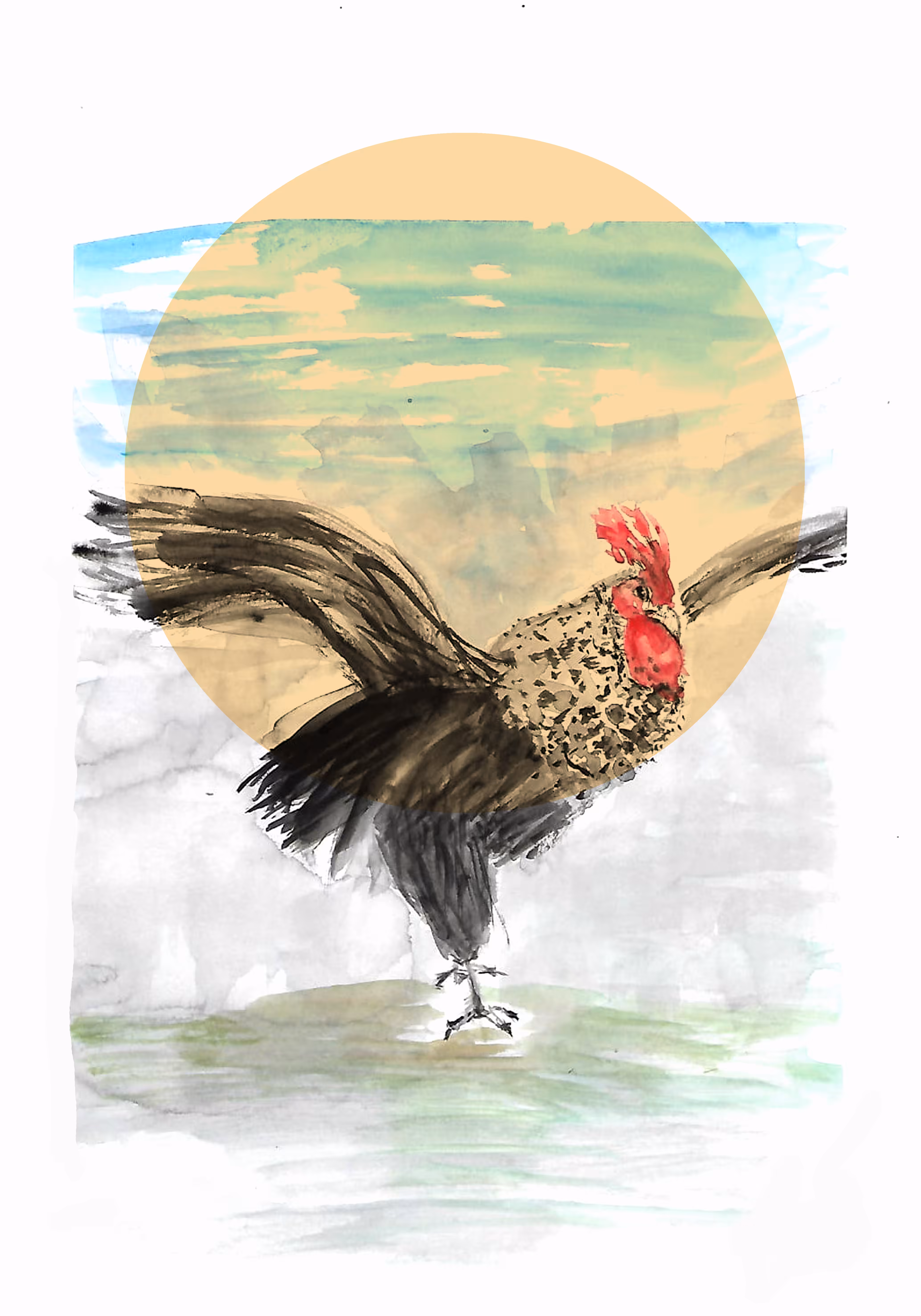 Gallo Volador