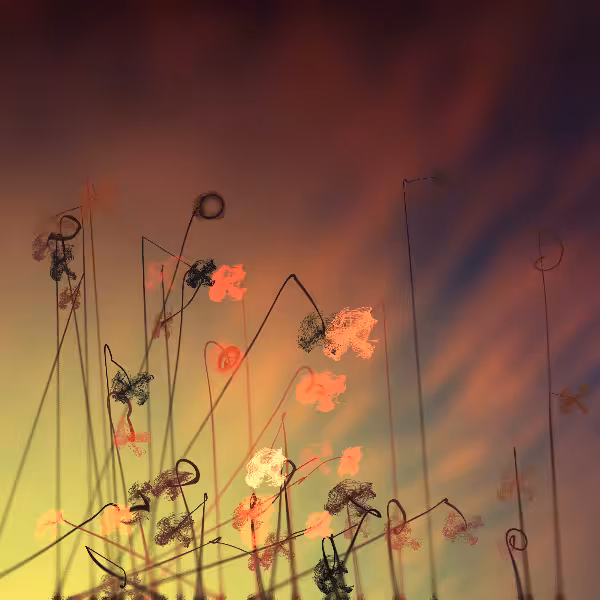 Cottongrass #37
