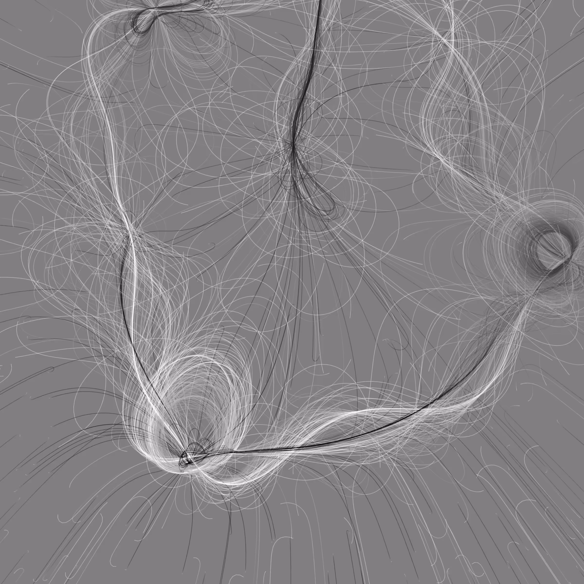 Phototaxis #870