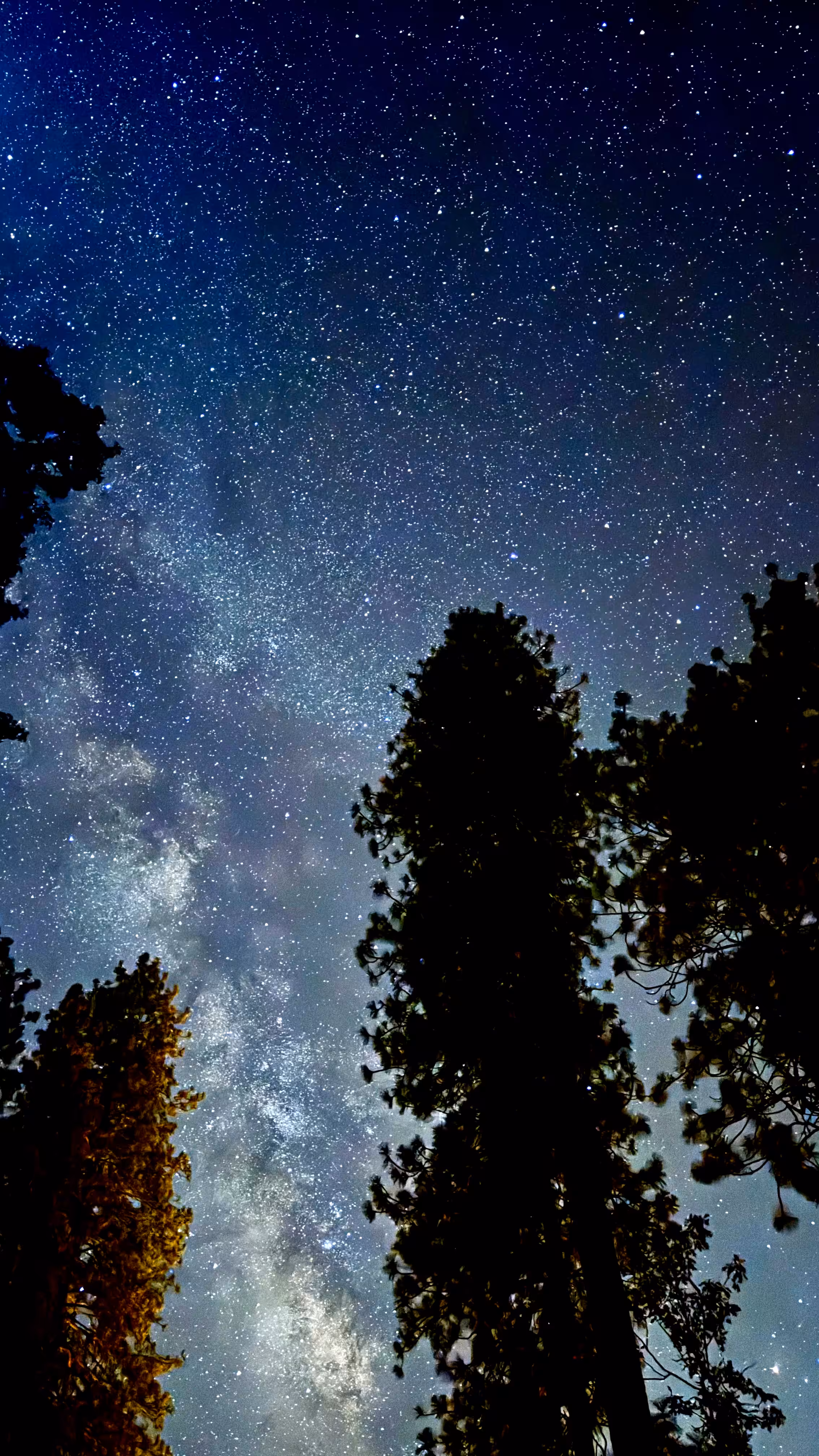 Stars Over Giants