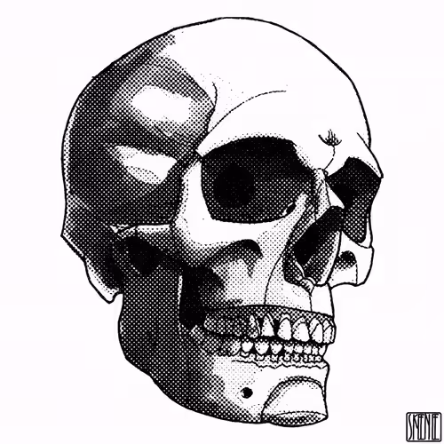 💀48 | CHROMATIC GLITCH SKULL 07