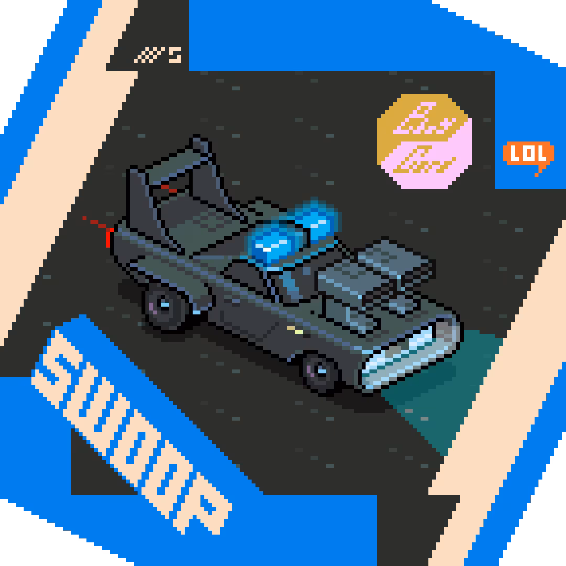SWP /5