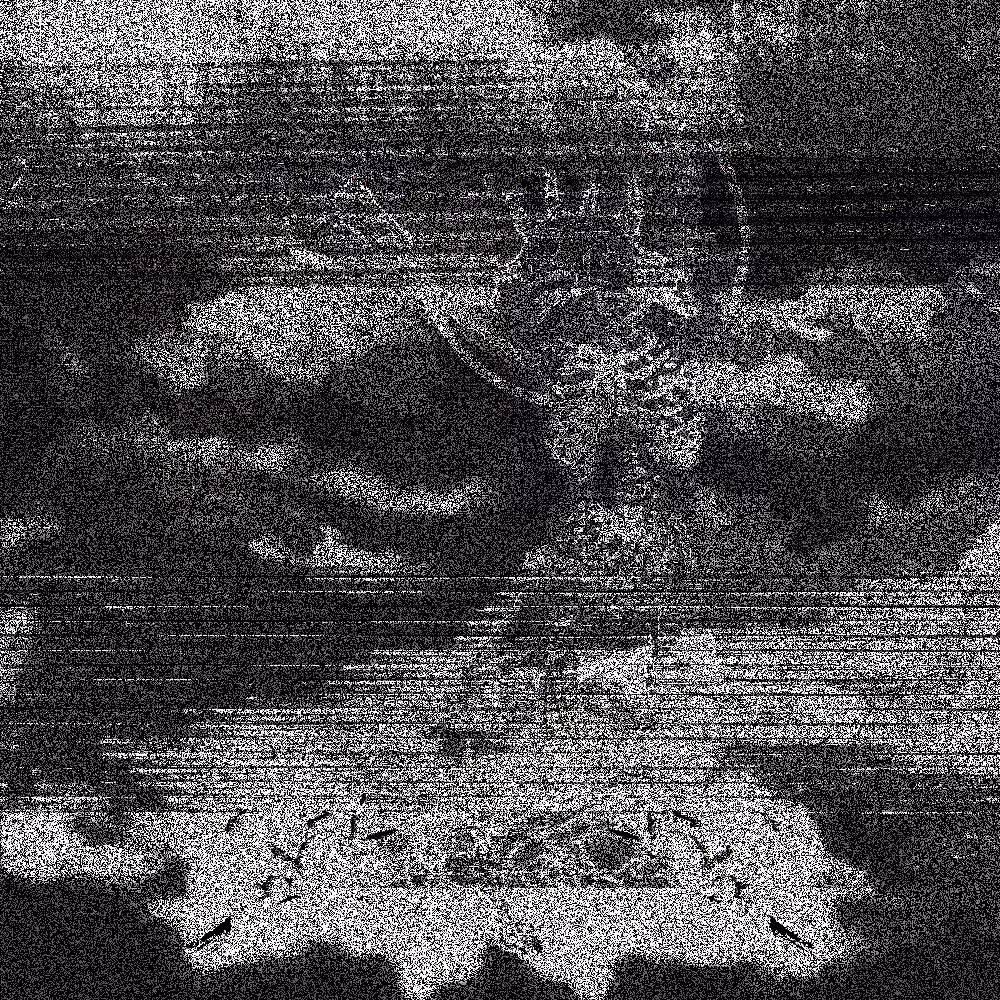 Upon Clouds