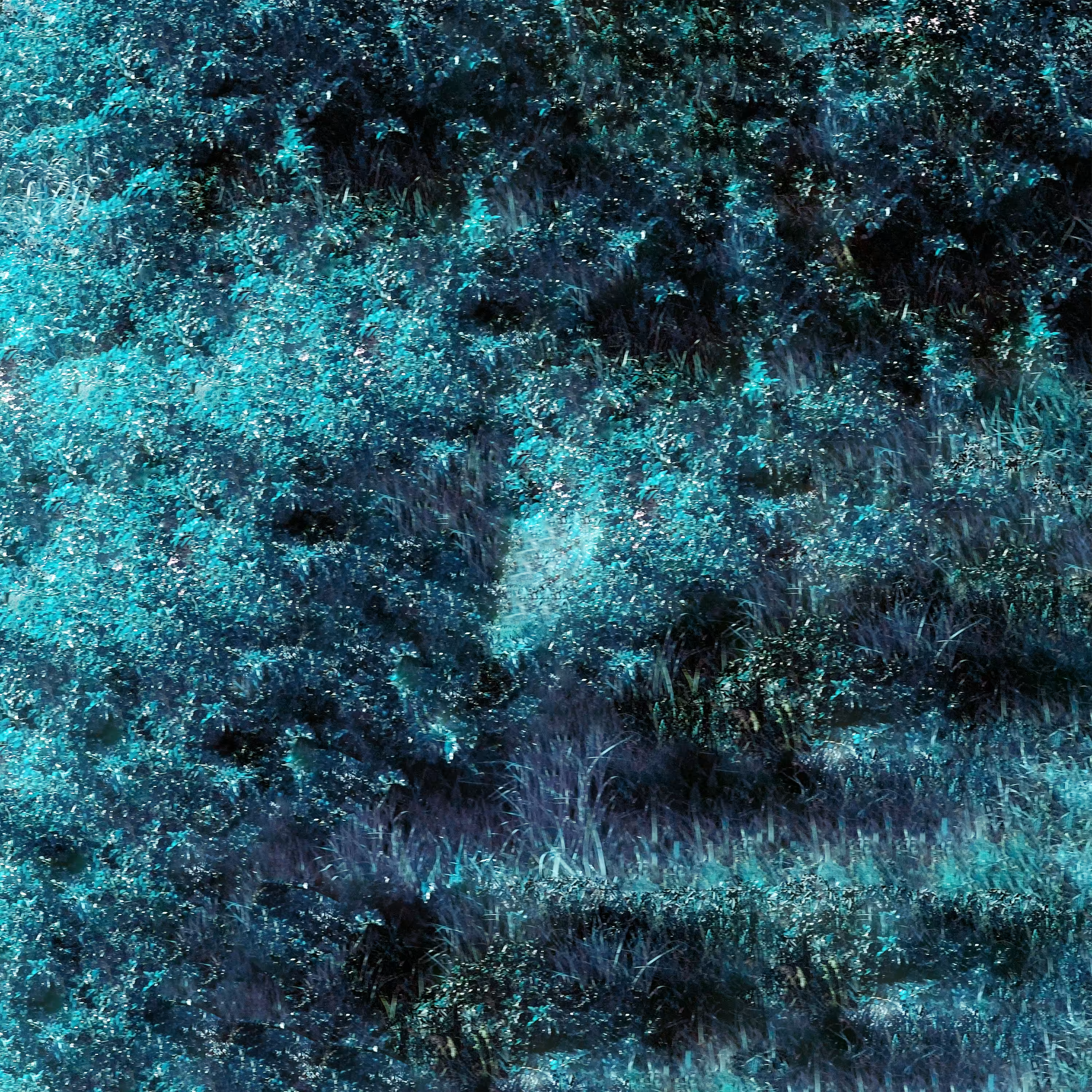 Follower 39