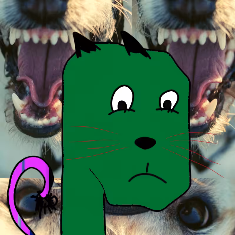 hi CAT lucas #16