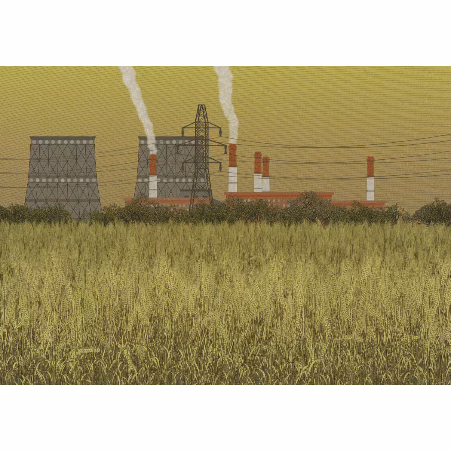 Fields of the Abandoned Homeland #84