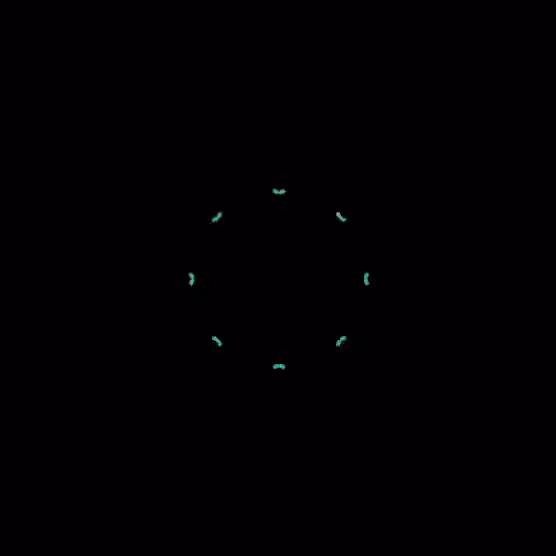 Mandala8