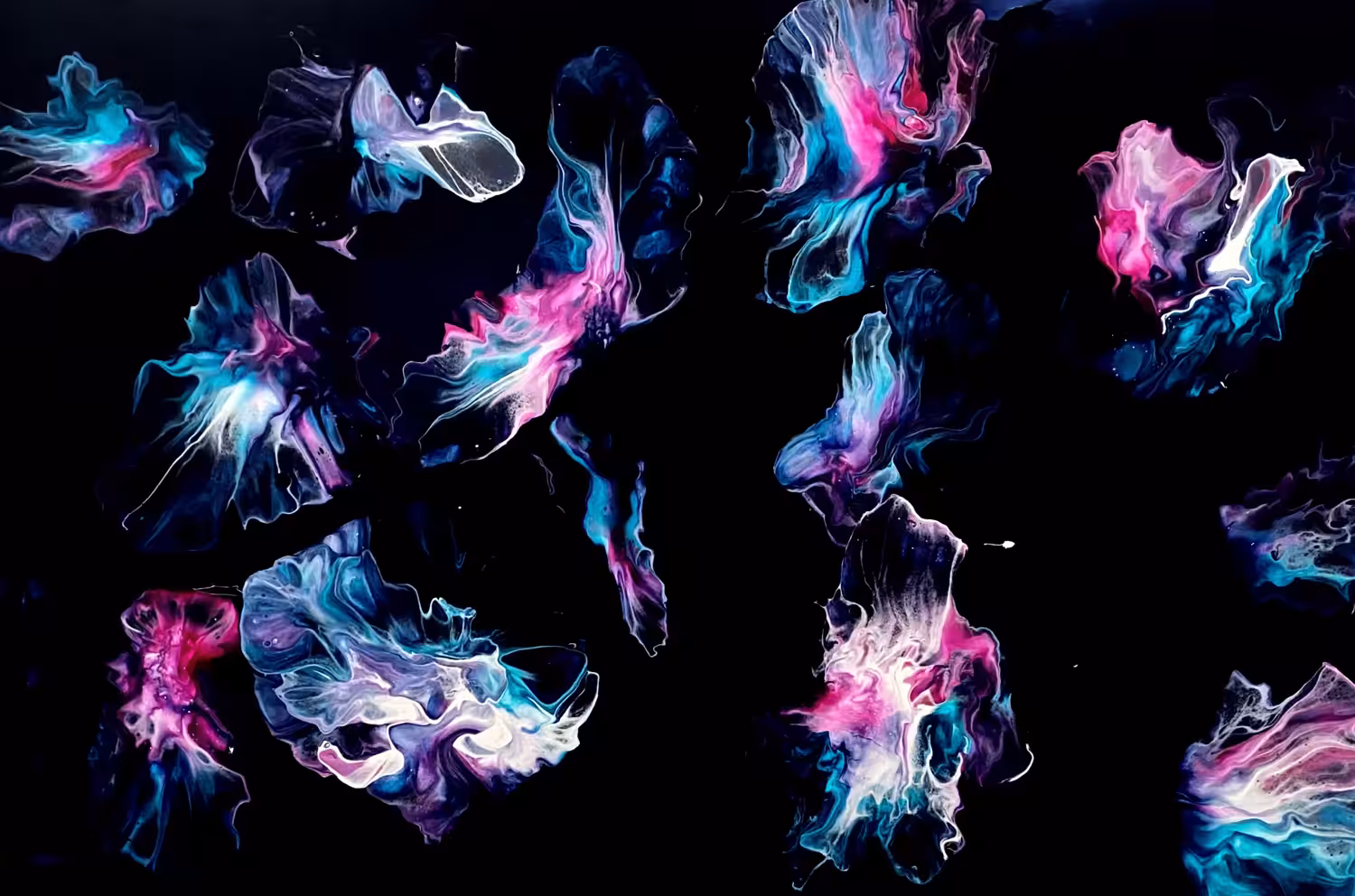 jellies 