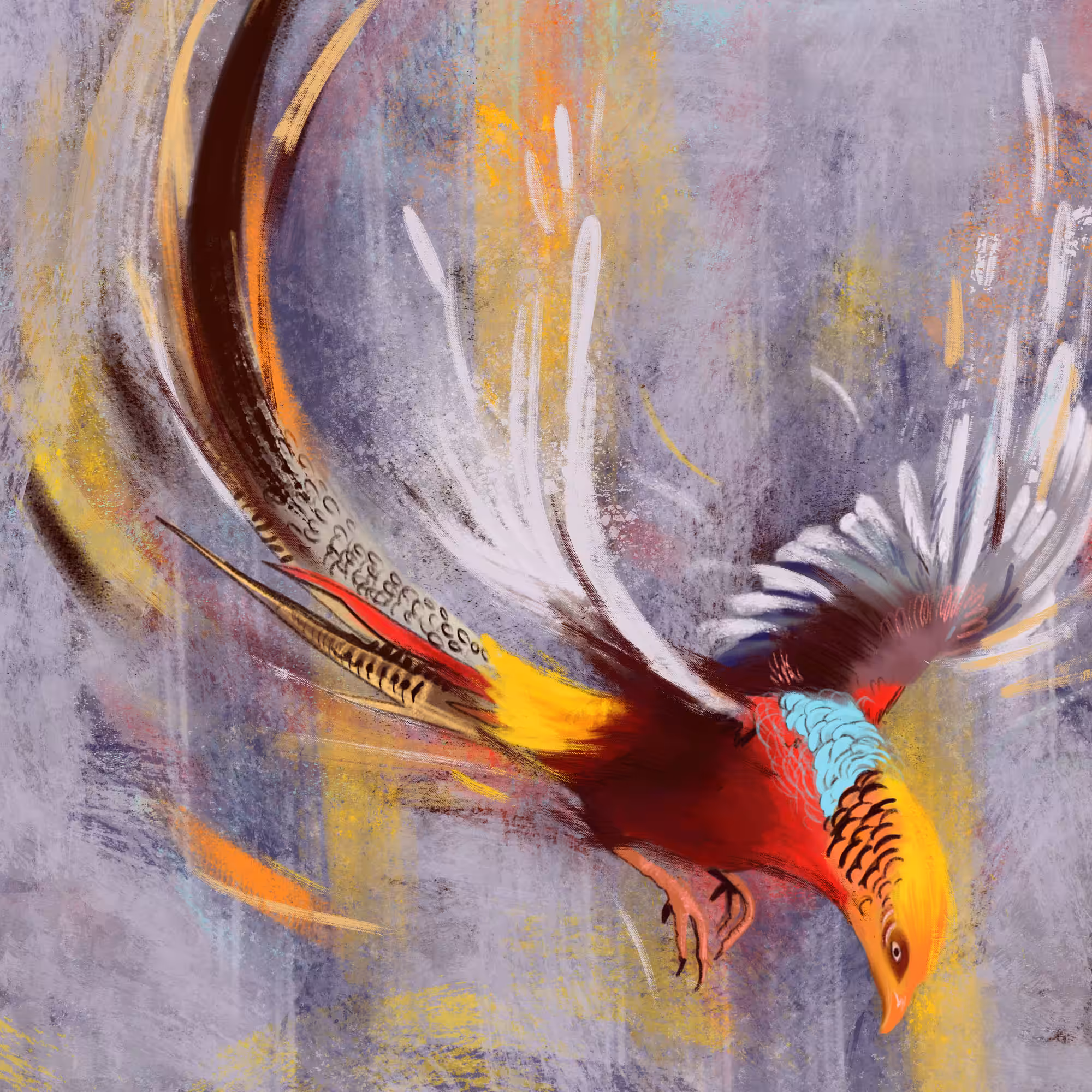 beautiful red bird