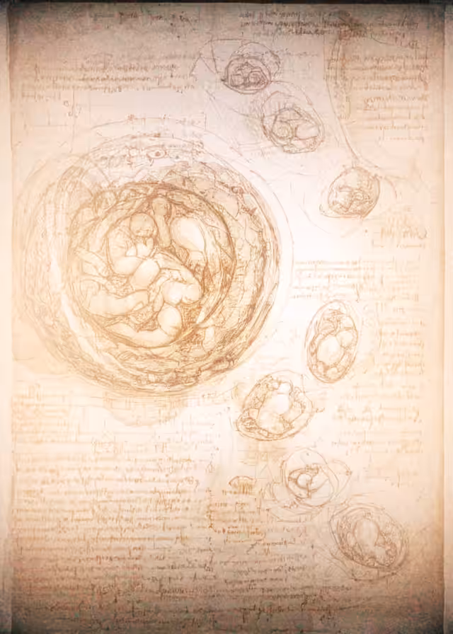 THE FETUS IN THE WOMB AI