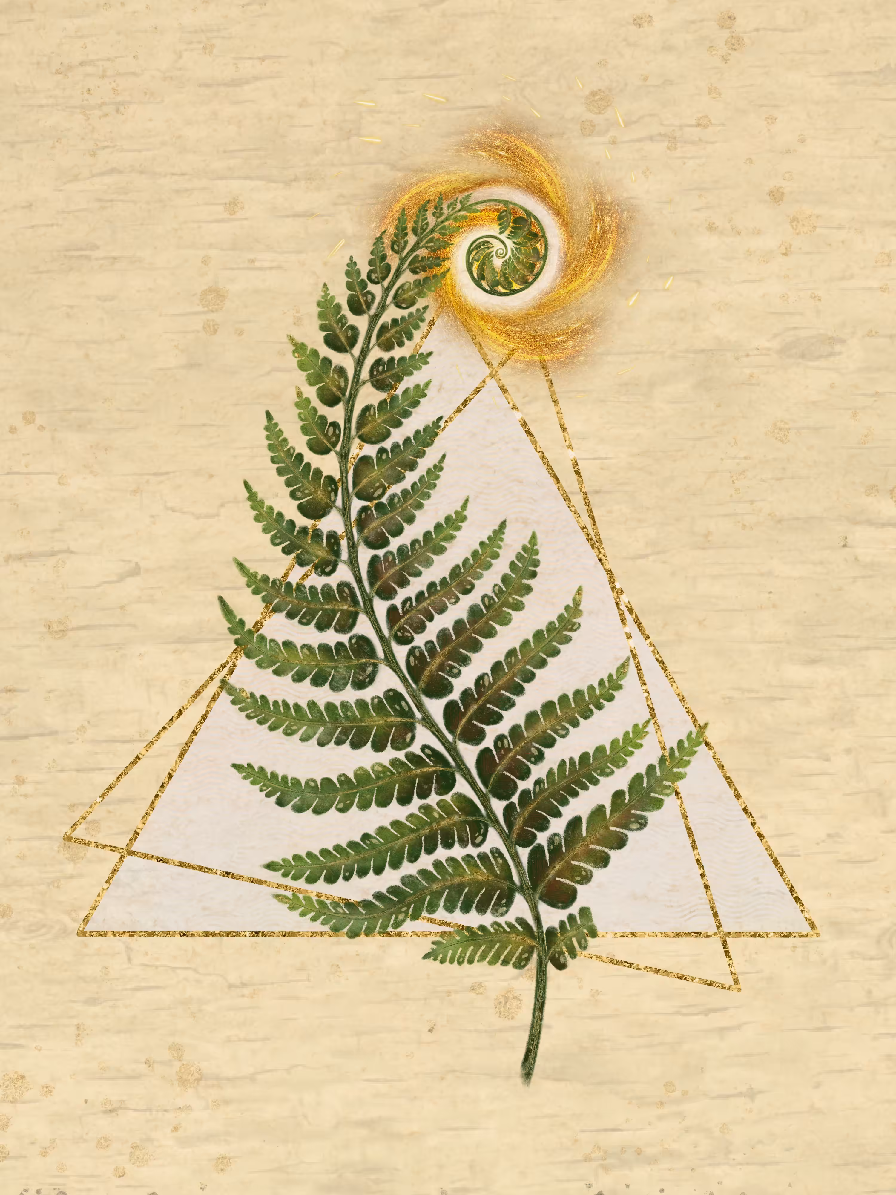Fern blooming