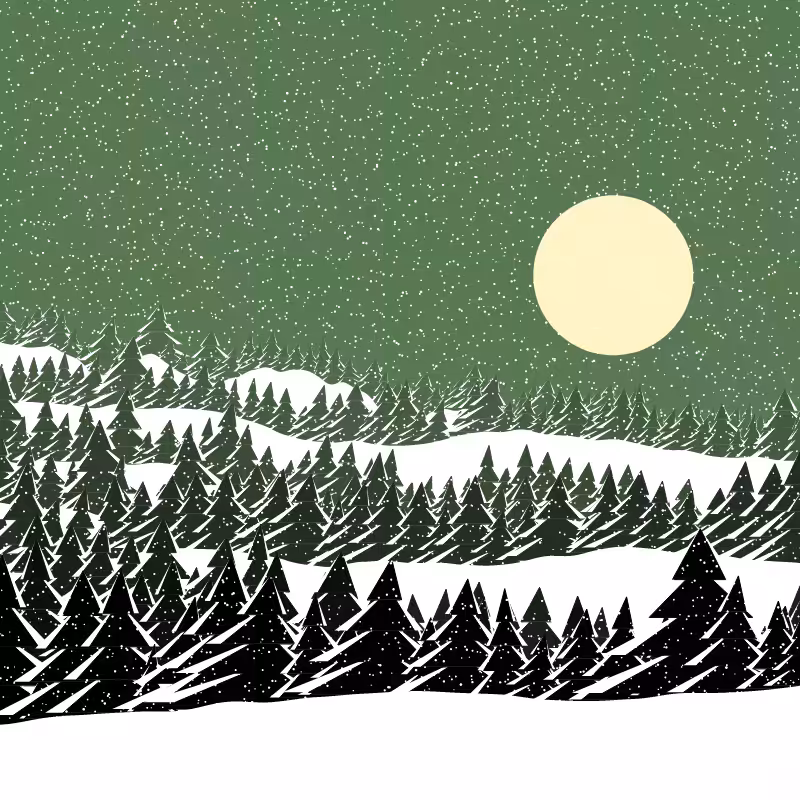 Winterland #37