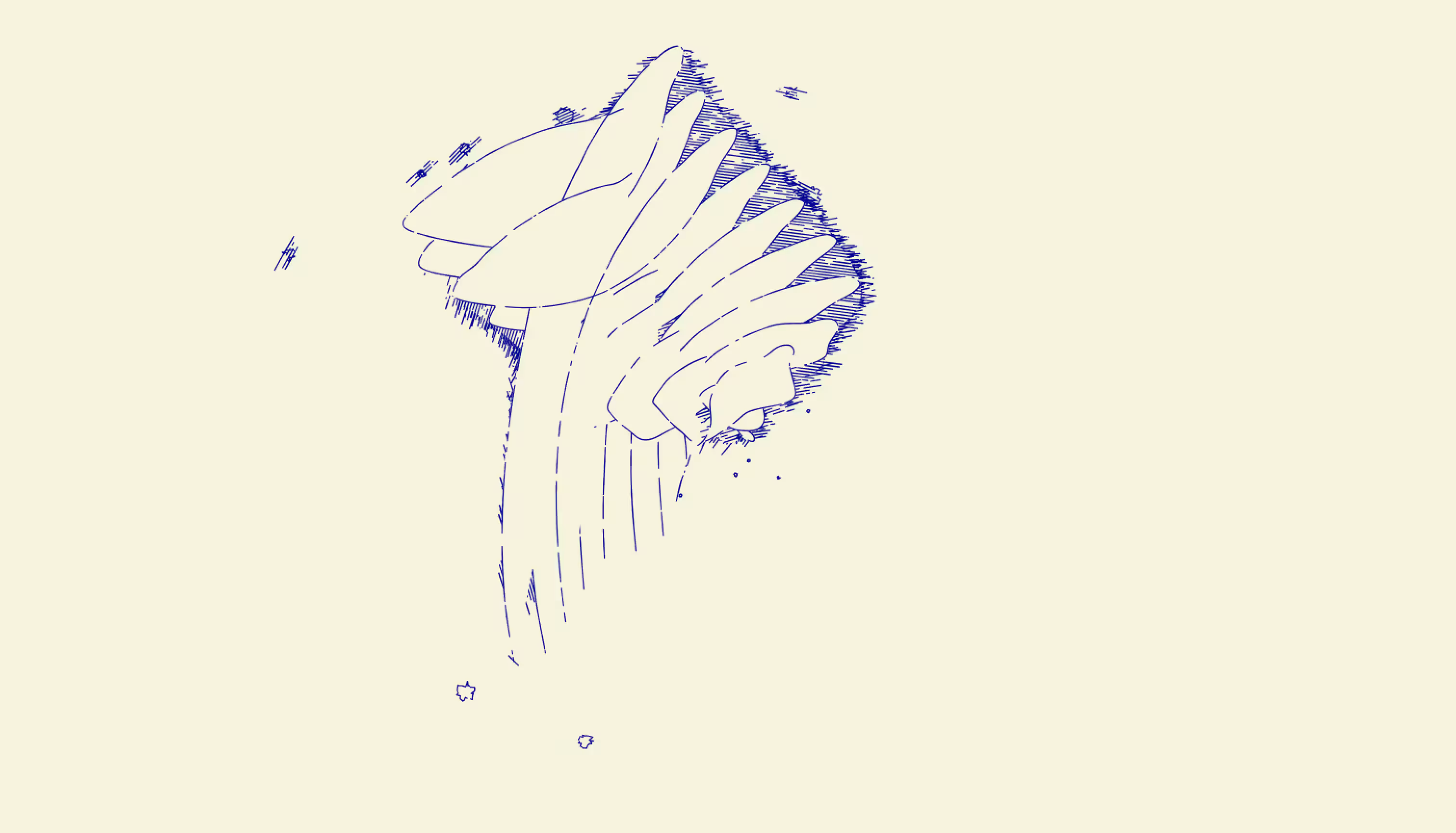 Sacrum