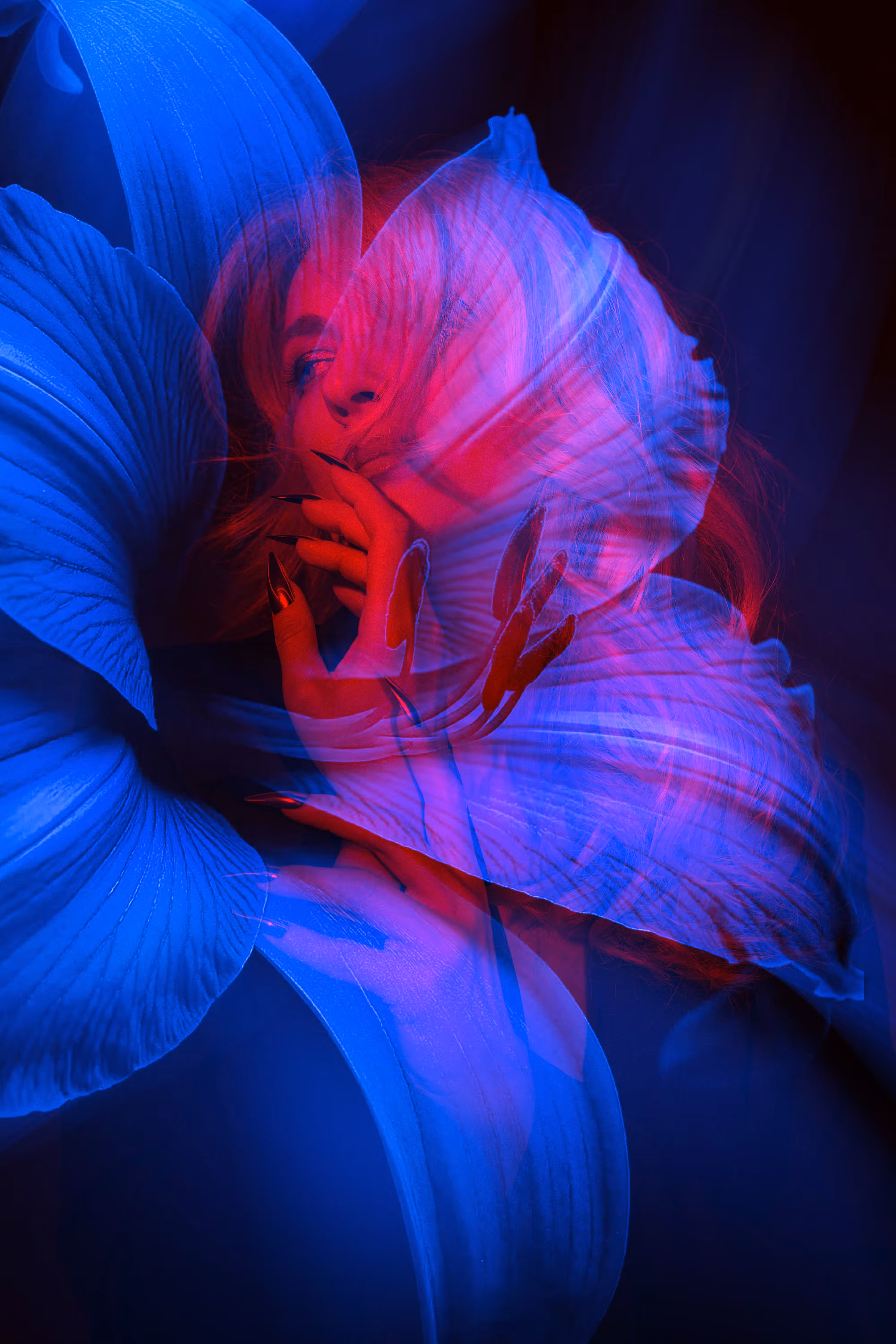 Blooming in the Dark