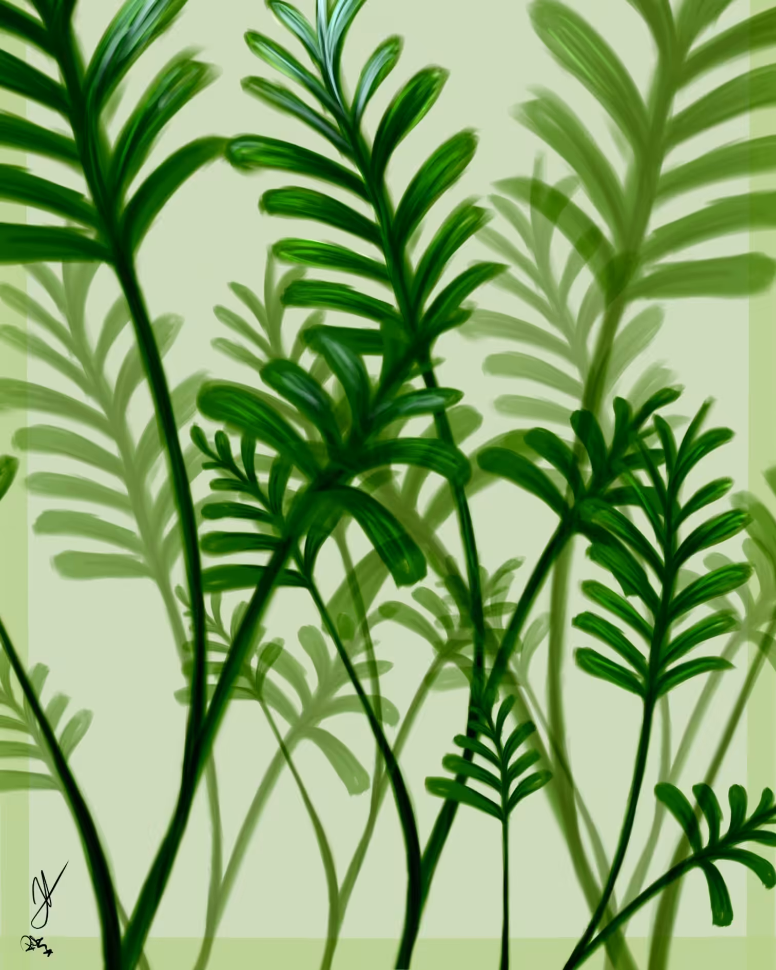 plantas