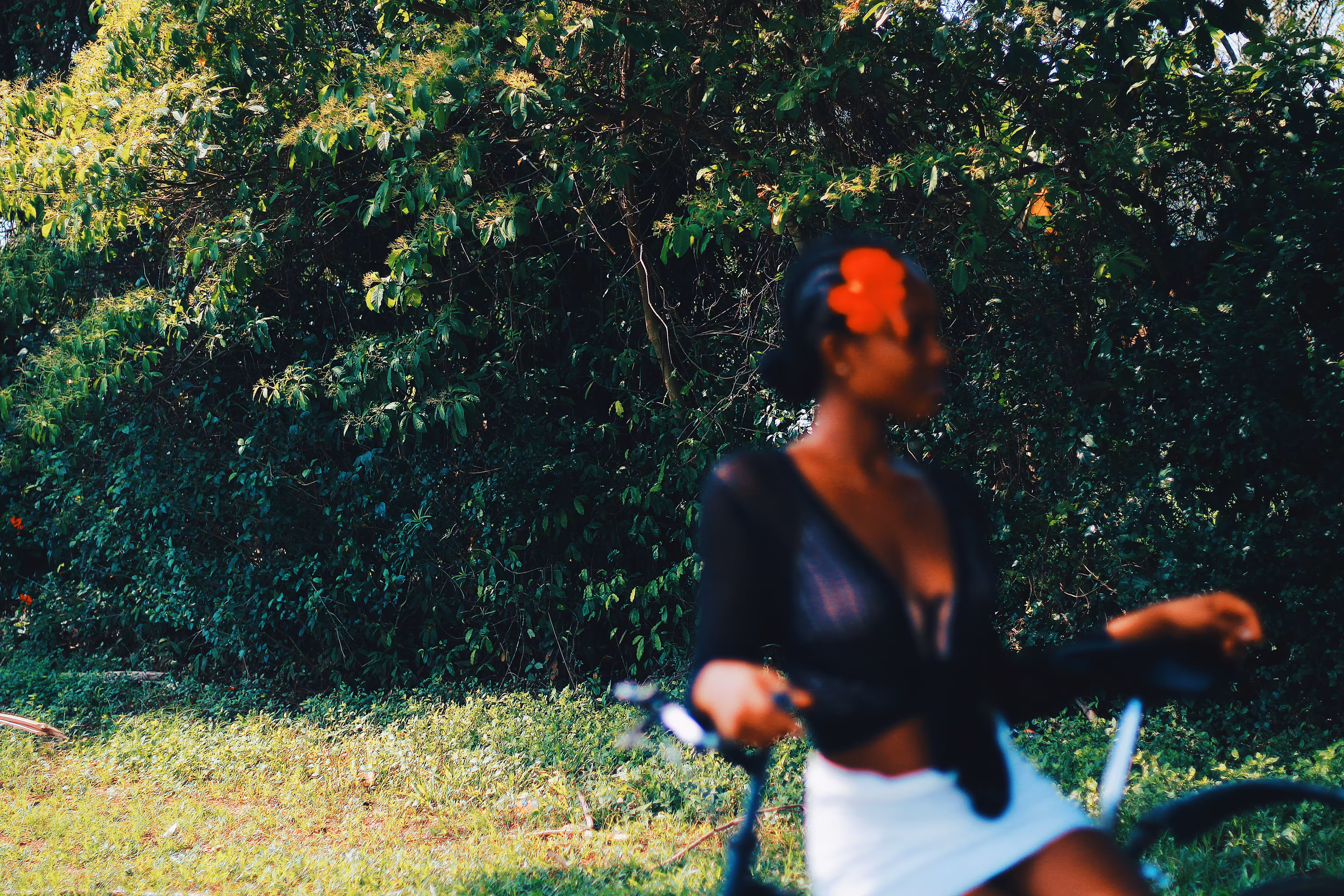 Storytelling Collection: "Blurred Yet Blooming"