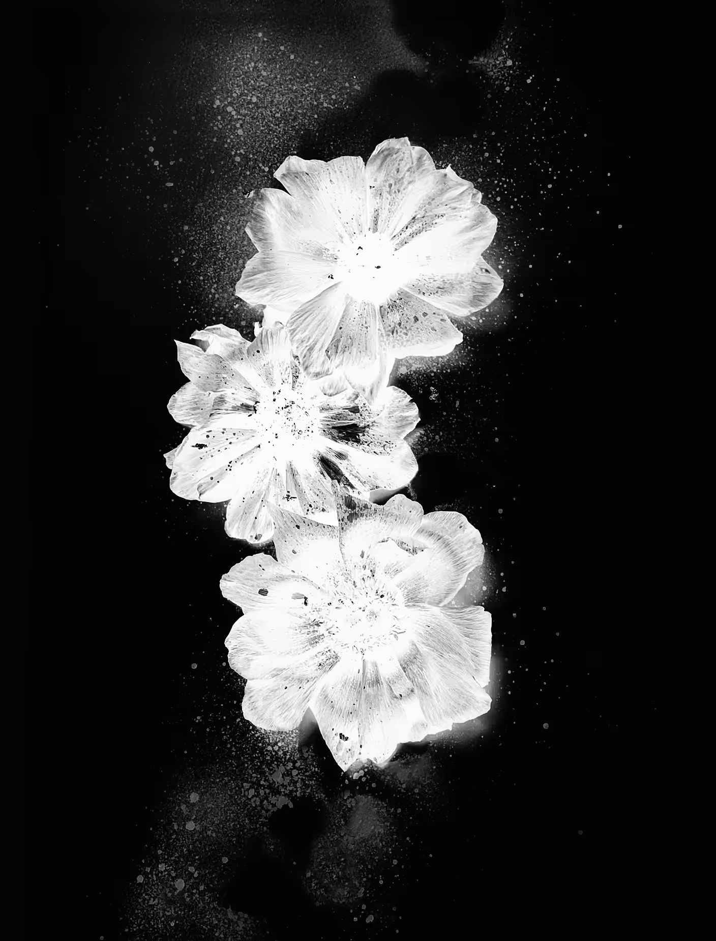桜 #3