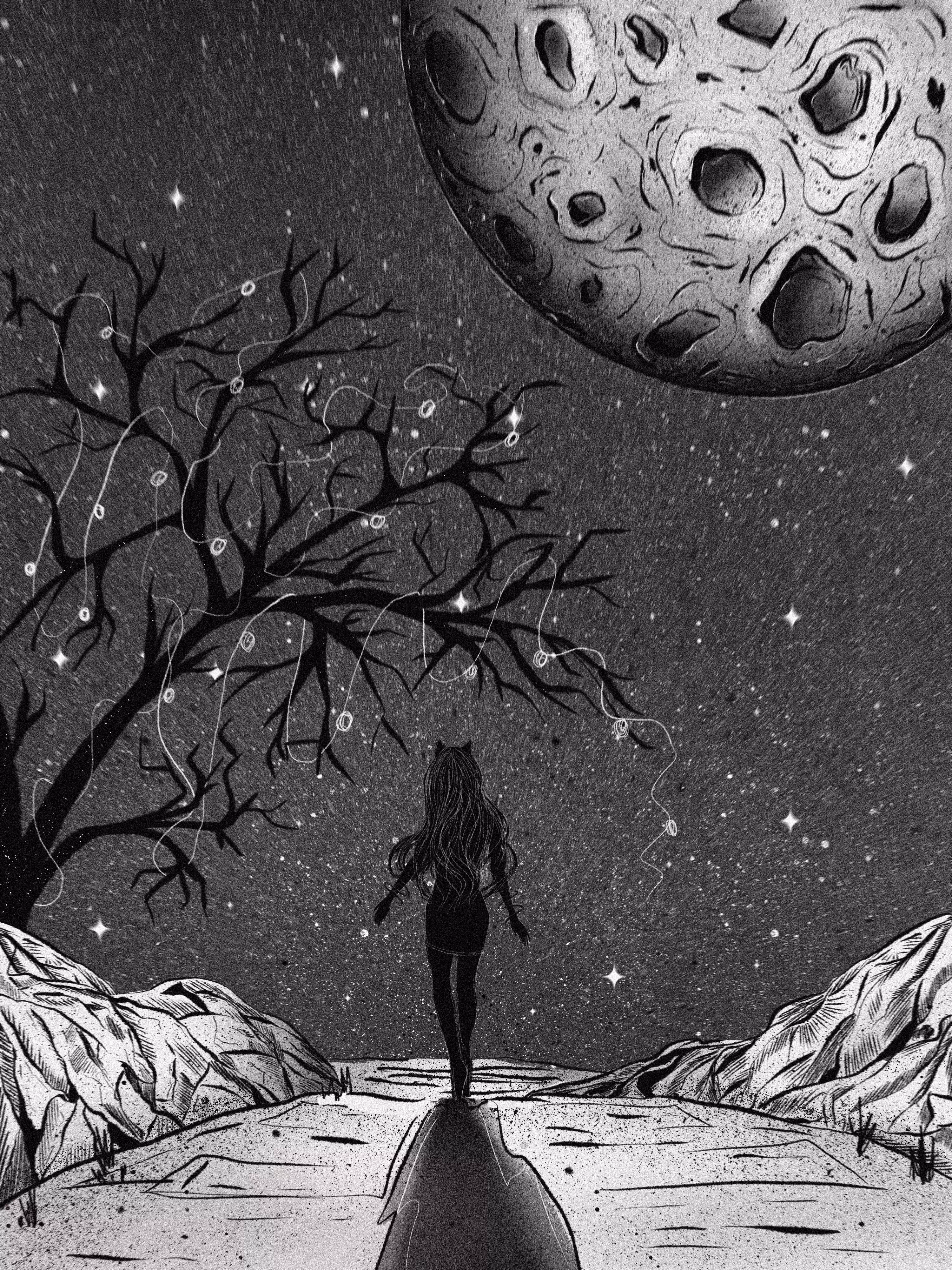 Wander 
