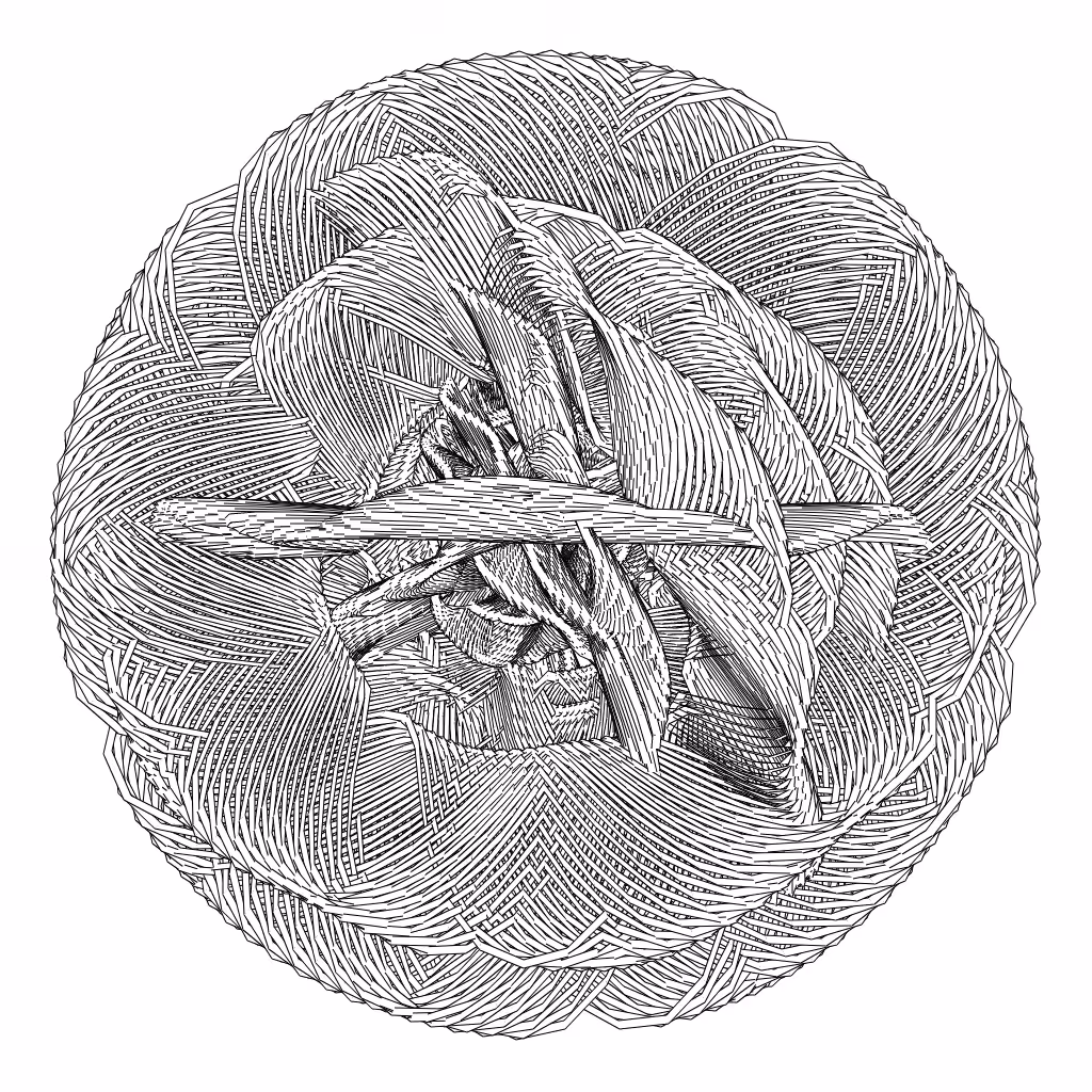LL21 Entangled (3) #437