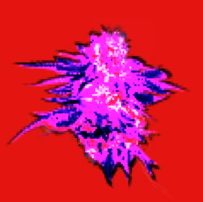 Skate PinkKUSH- 34