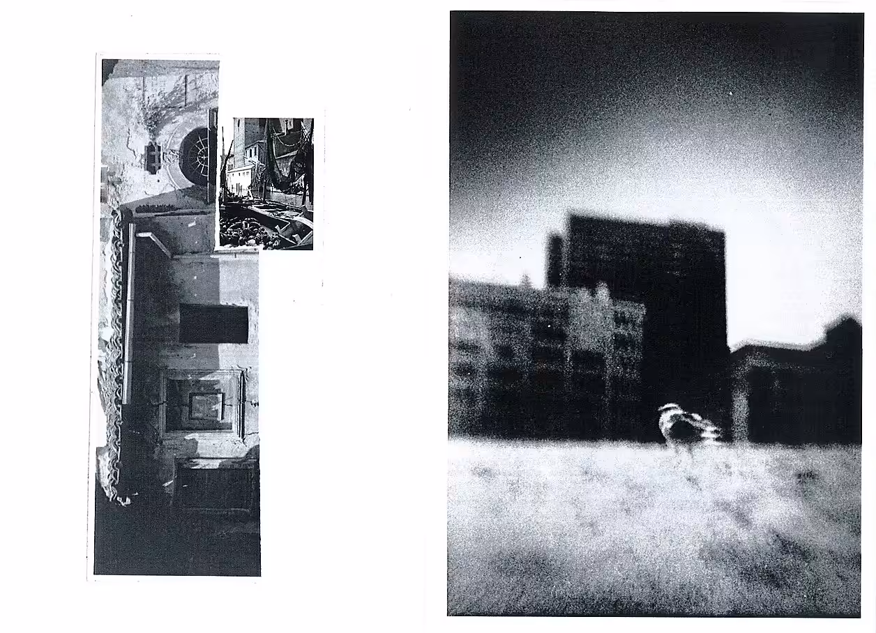 NO FLUXUS / M - Jean-François Flamey