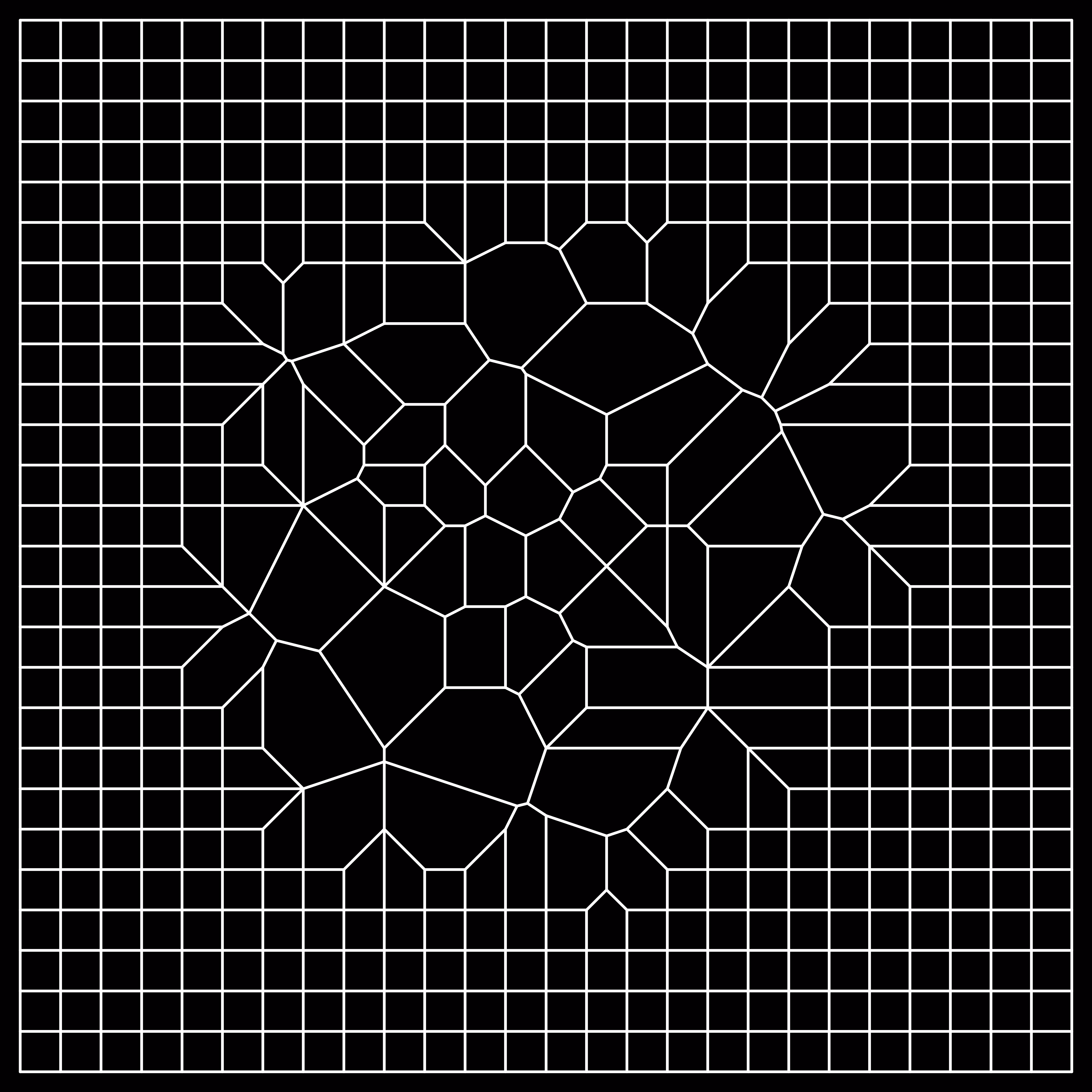 Reticulum-6