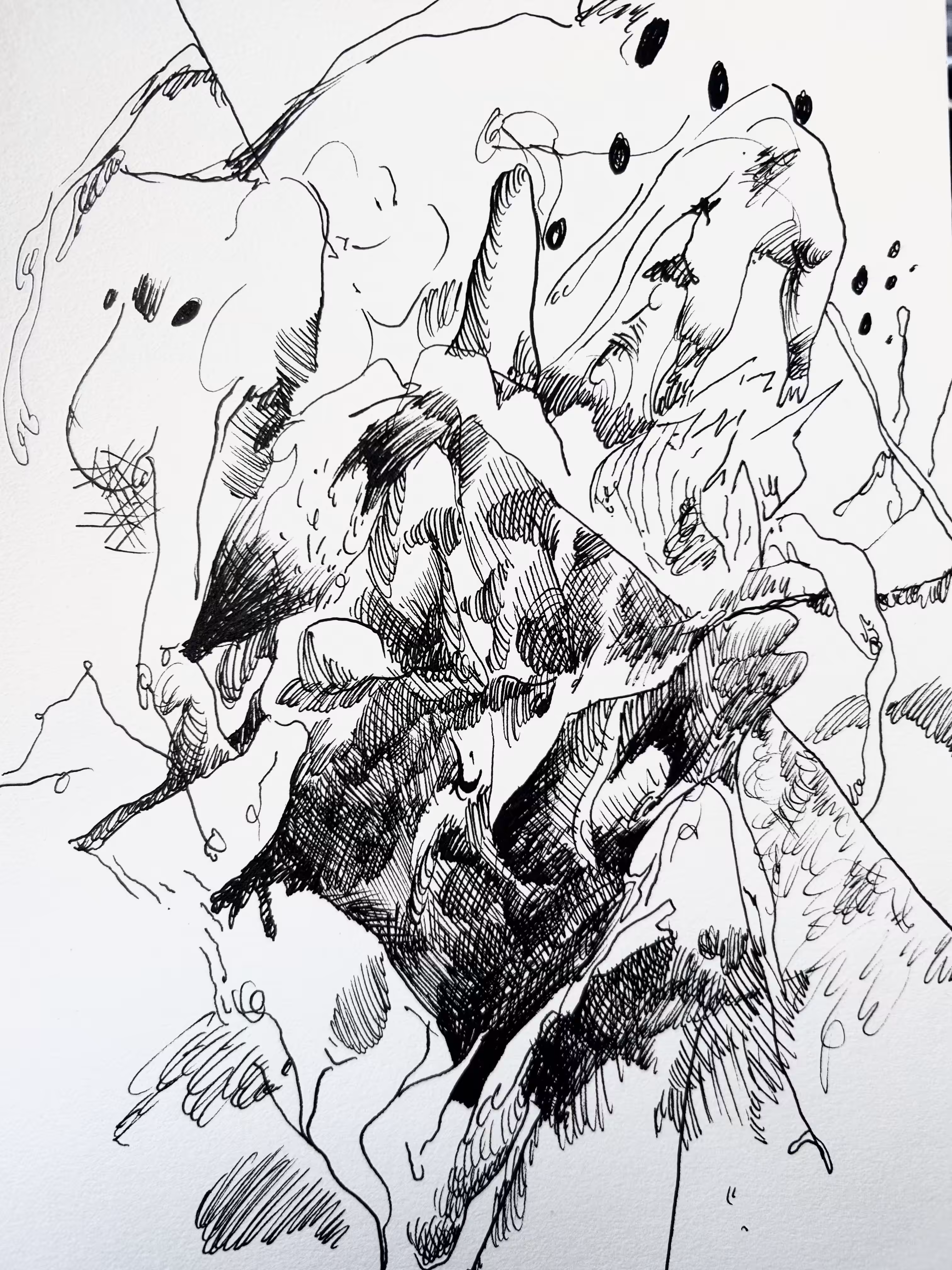 drawing 1.6.25
