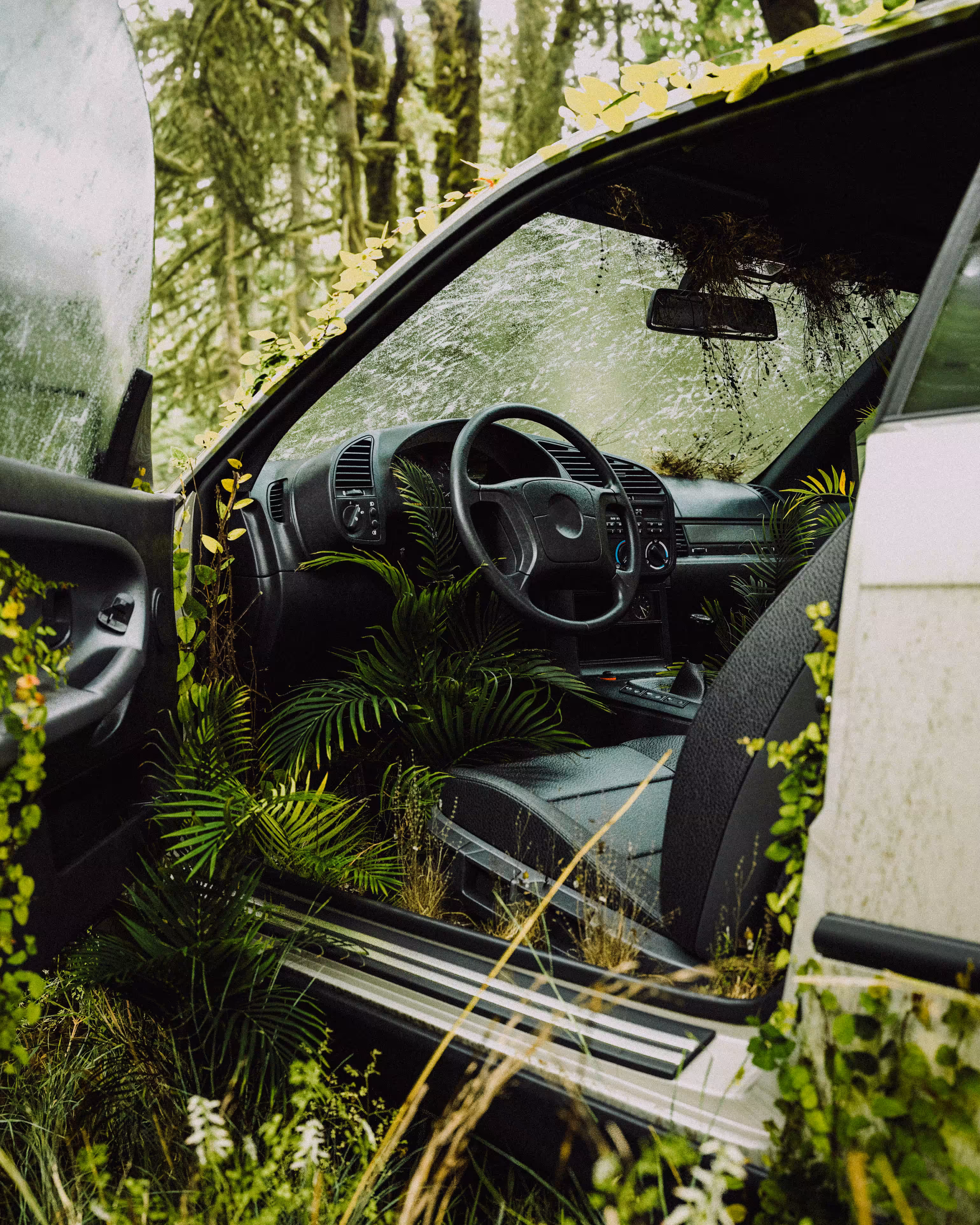 Overgrown