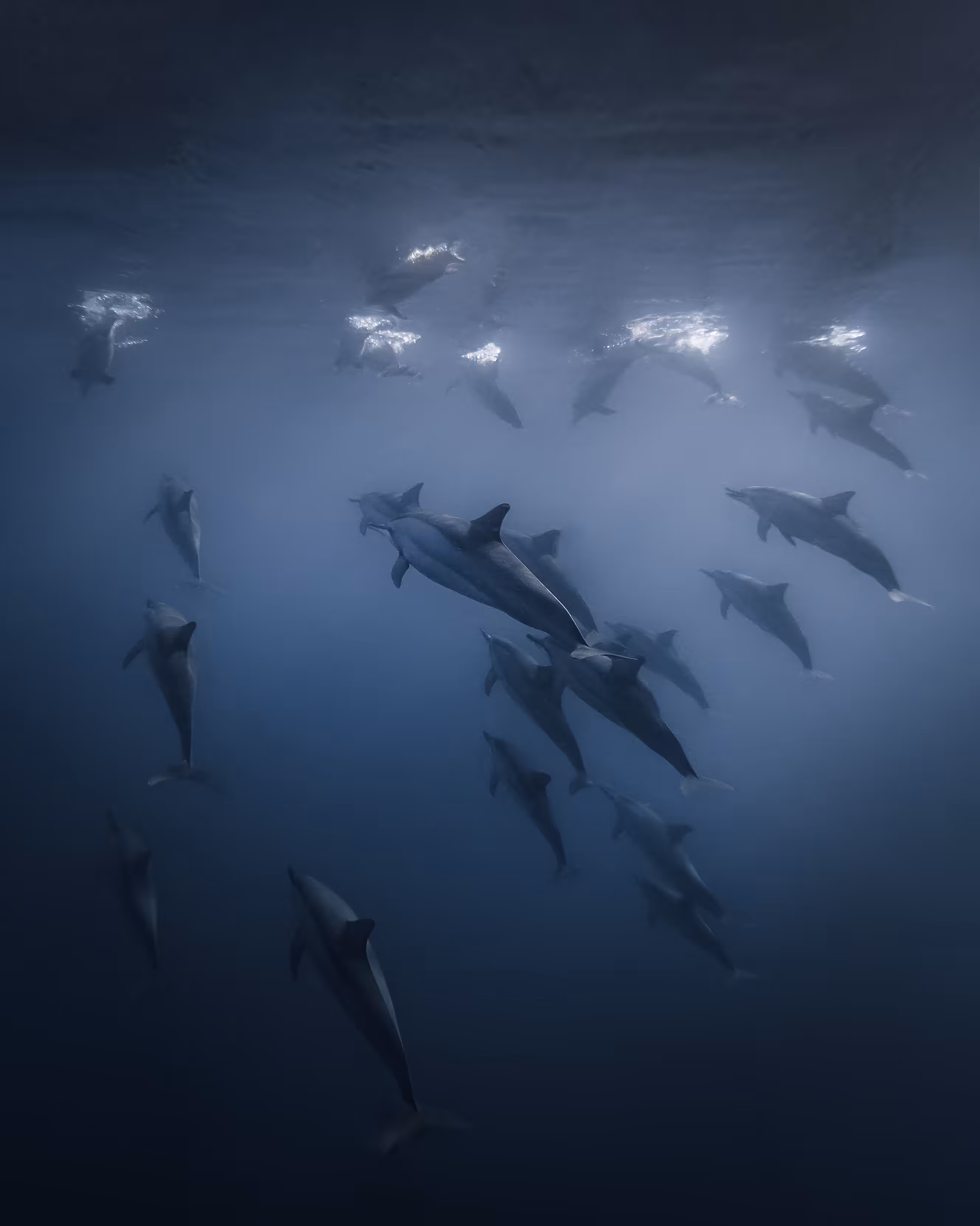 Into the unknown II