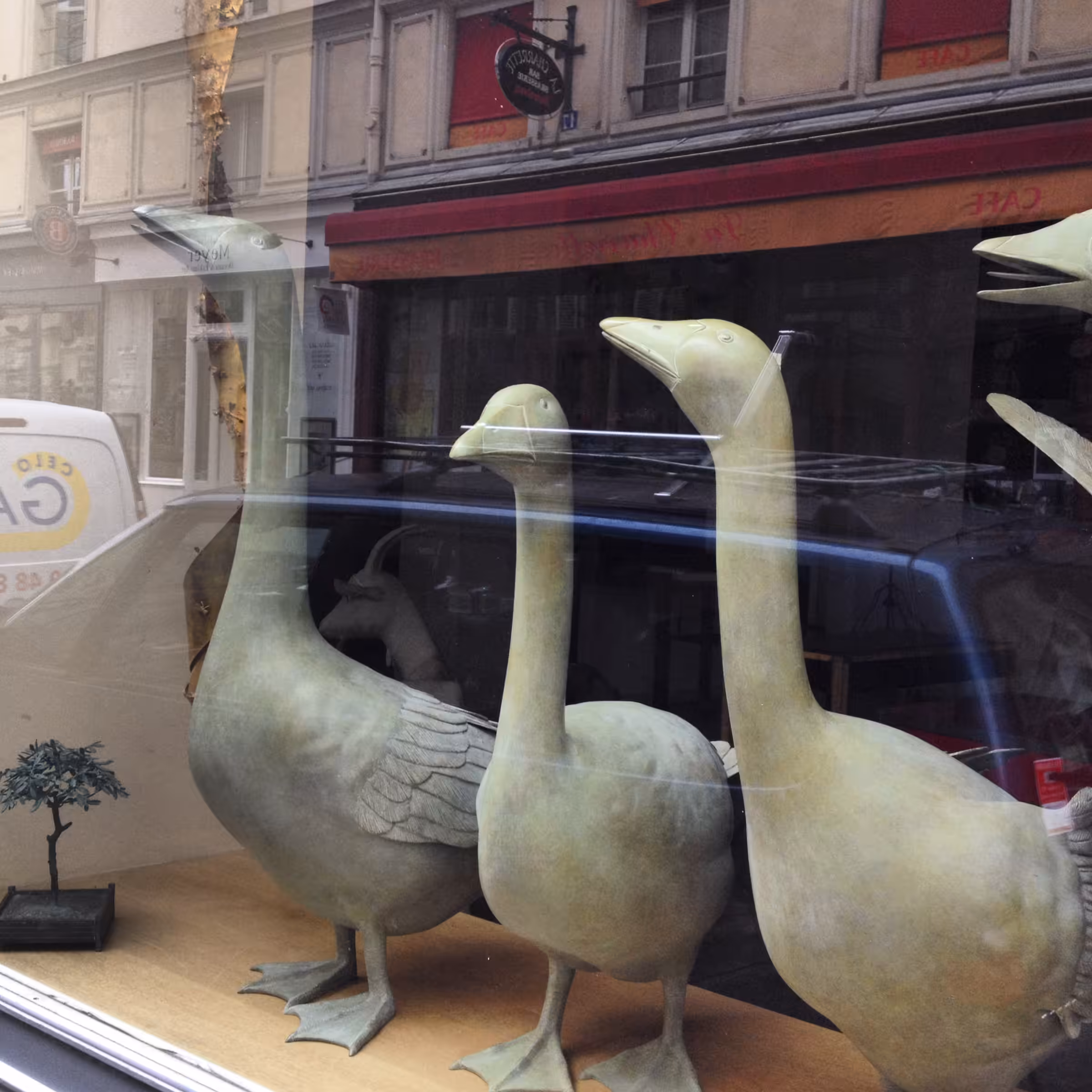 The Other Paris: Duck, Duck, Goose