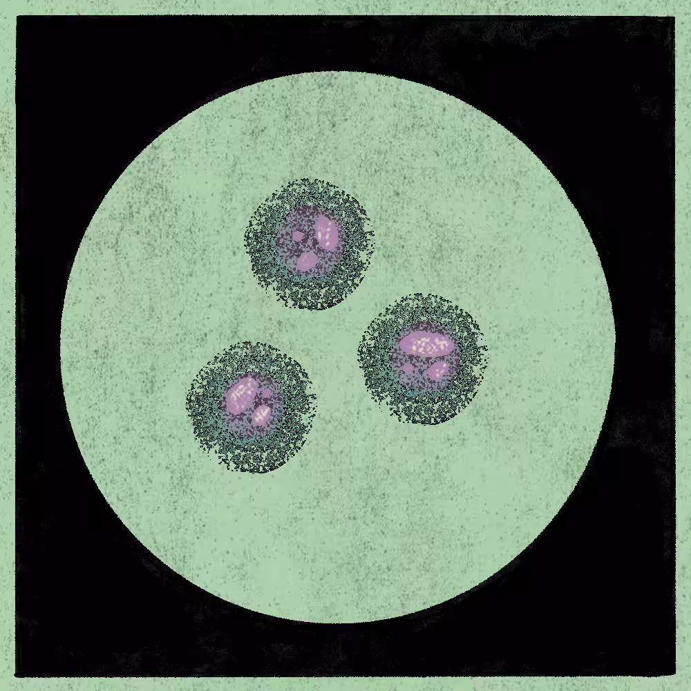 Microbes #142