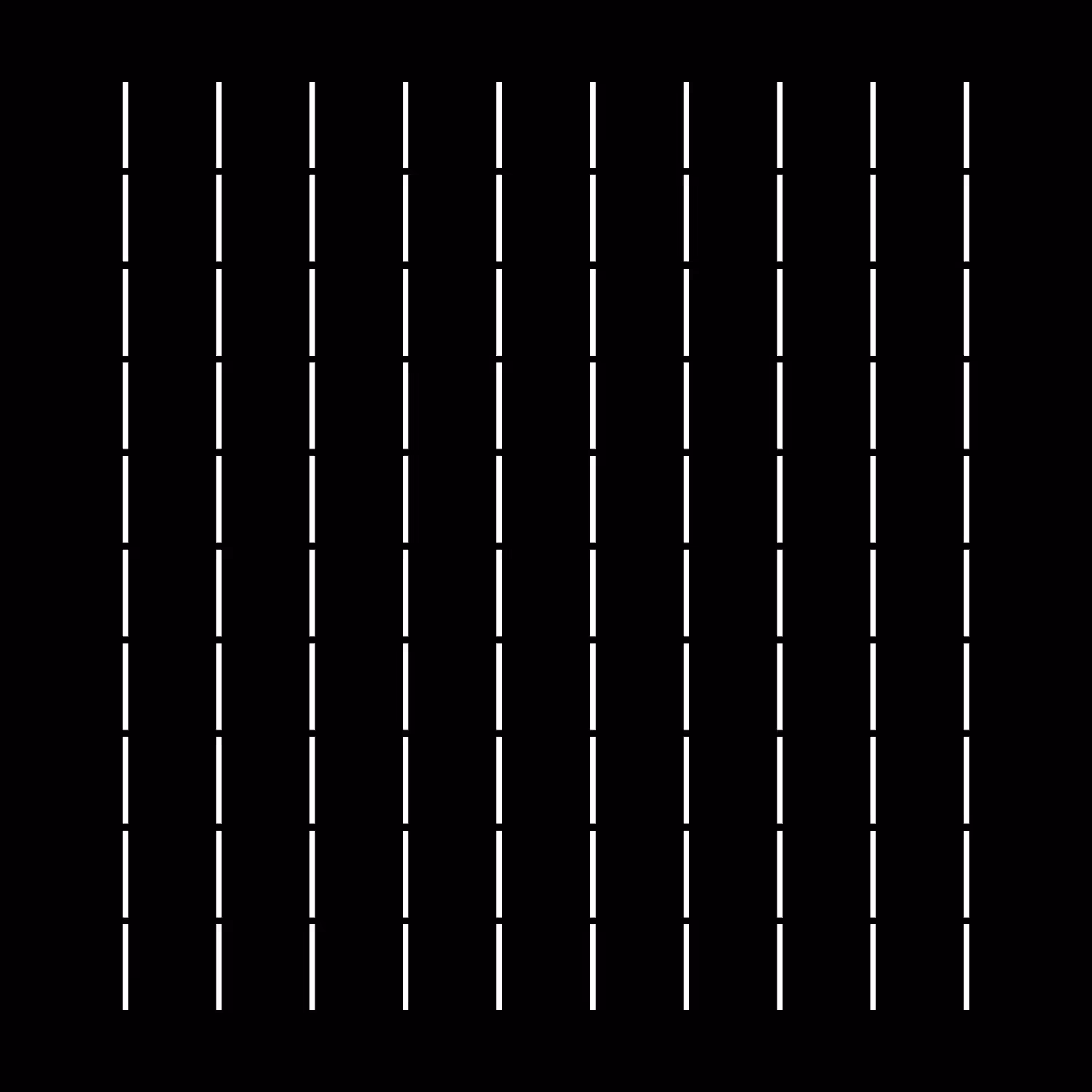 The Path Appeared in the Dark