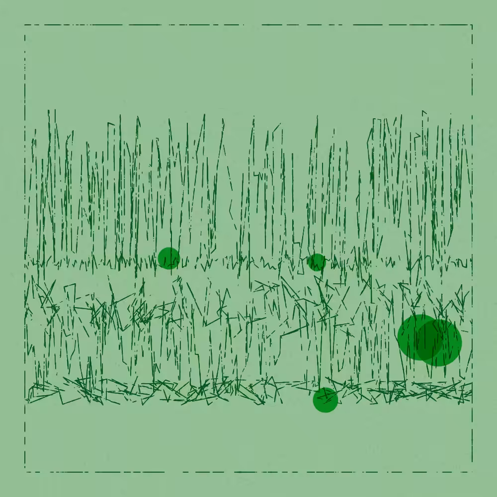 scratches & circles #101