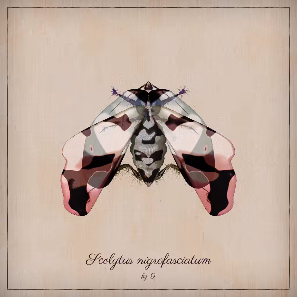 ProcGen Entomology #476