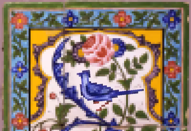 Flower and Bird