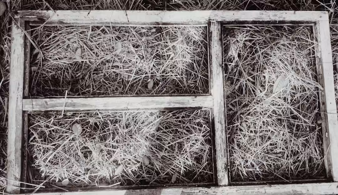 Photos: Frame