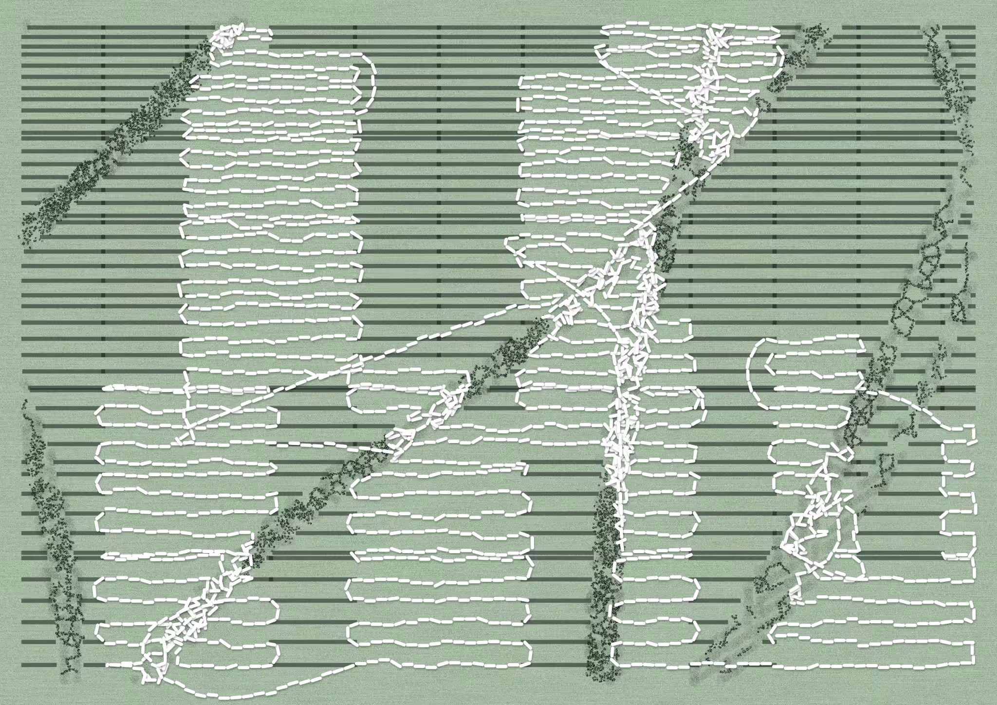 Aux Arbres #1365