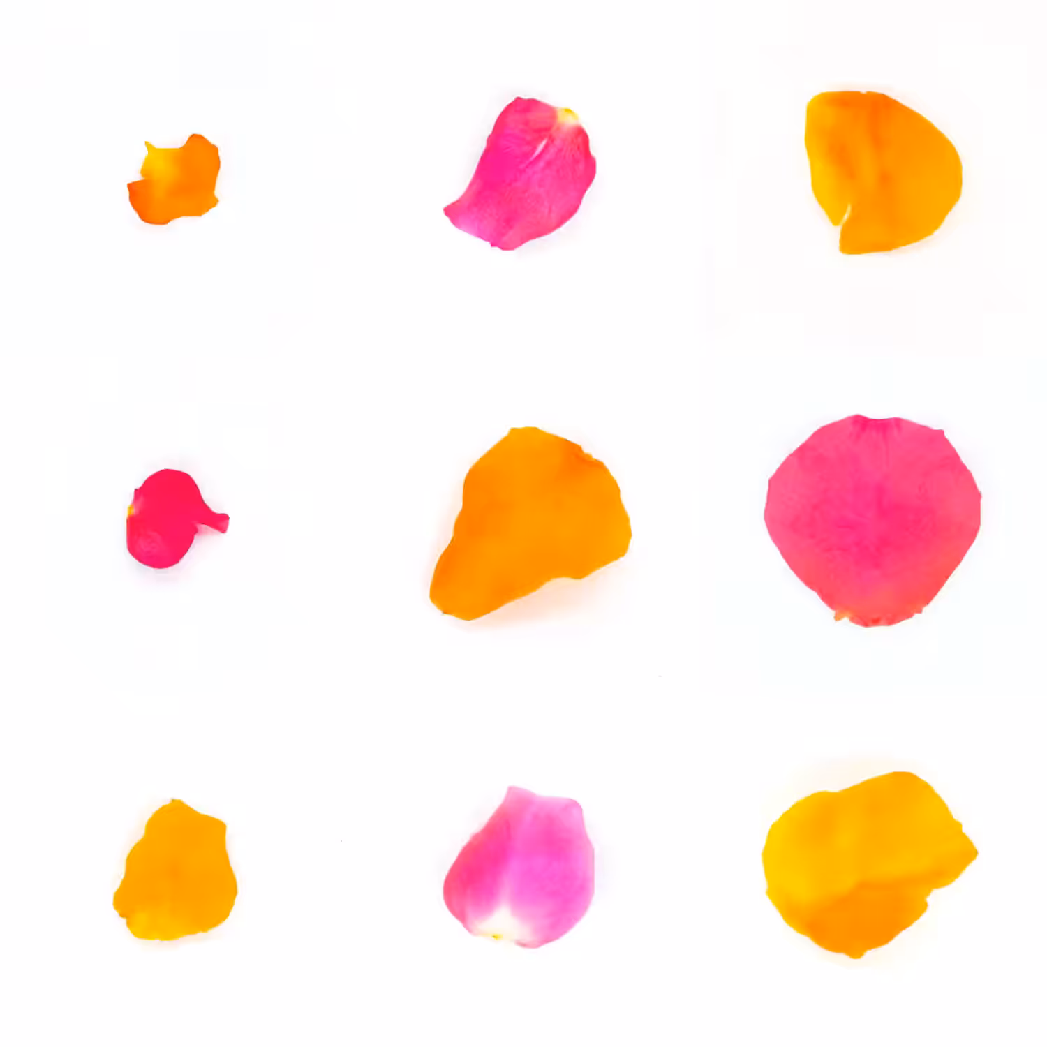 Infinite Petals 3x3#873