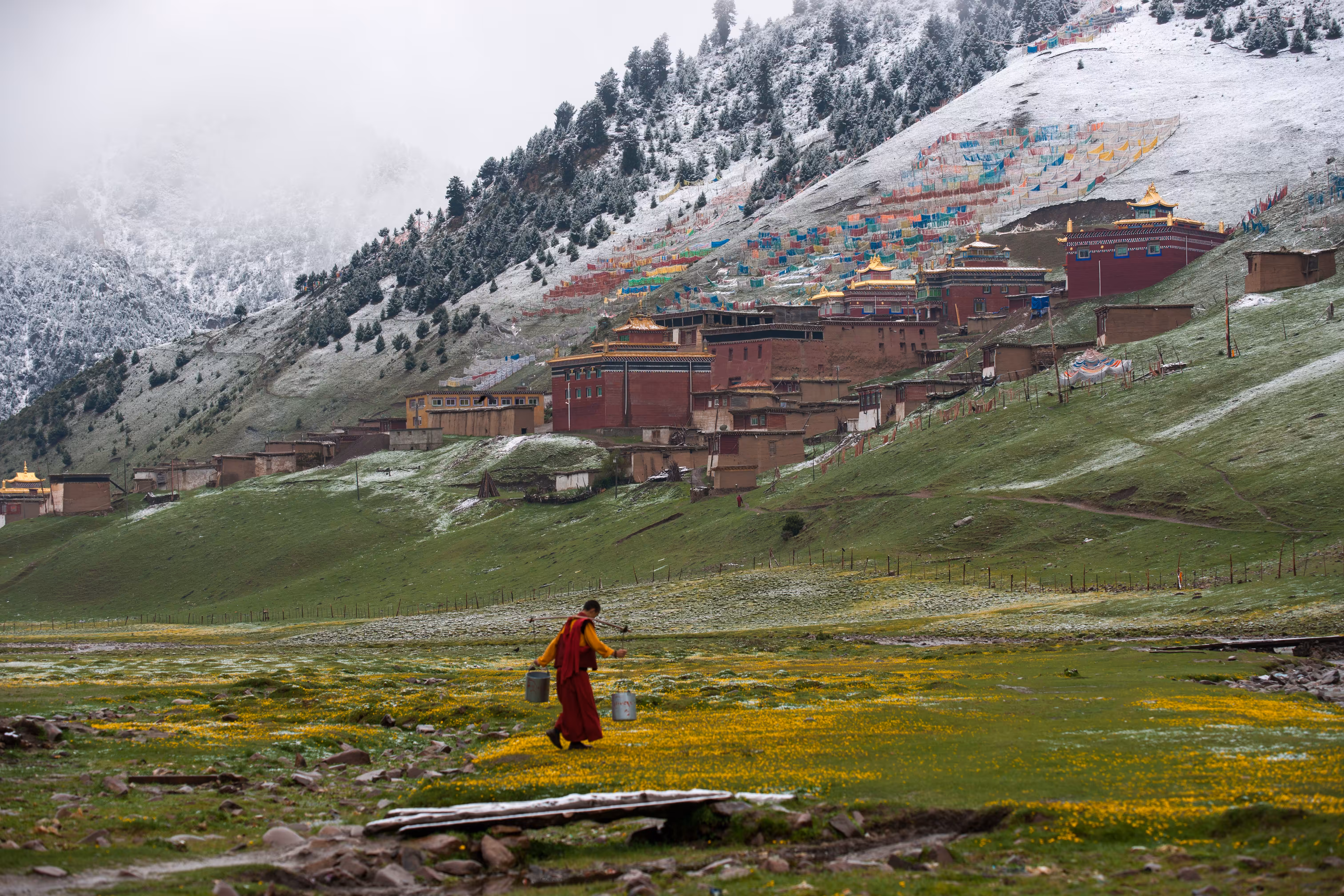 Tibet #65