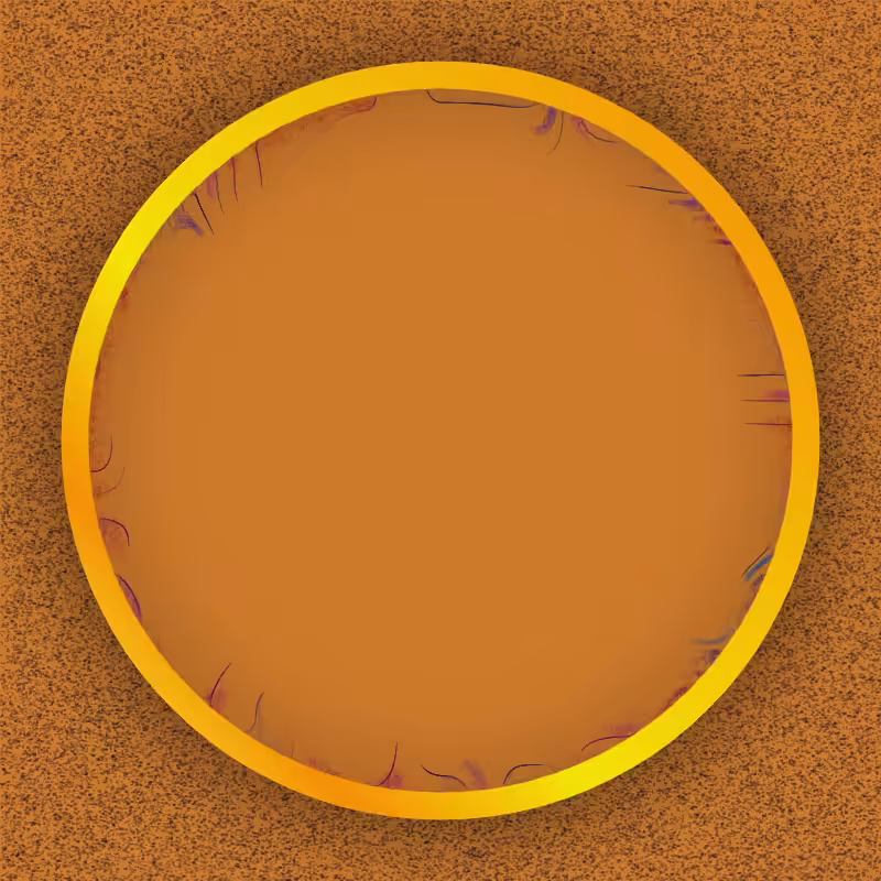 CircleWindow#030