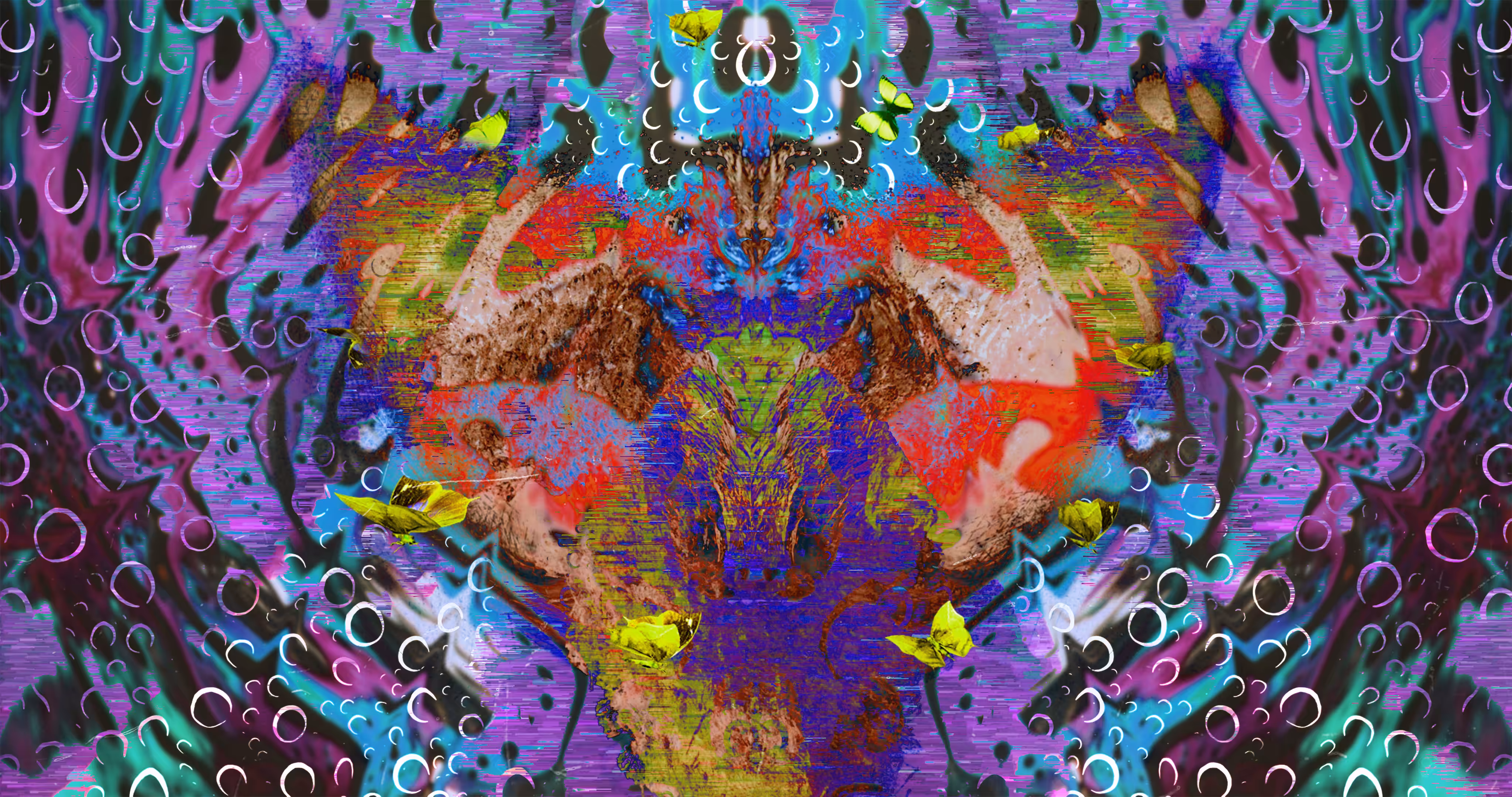 THE DEVIL IS IN THE BUTTERFLY