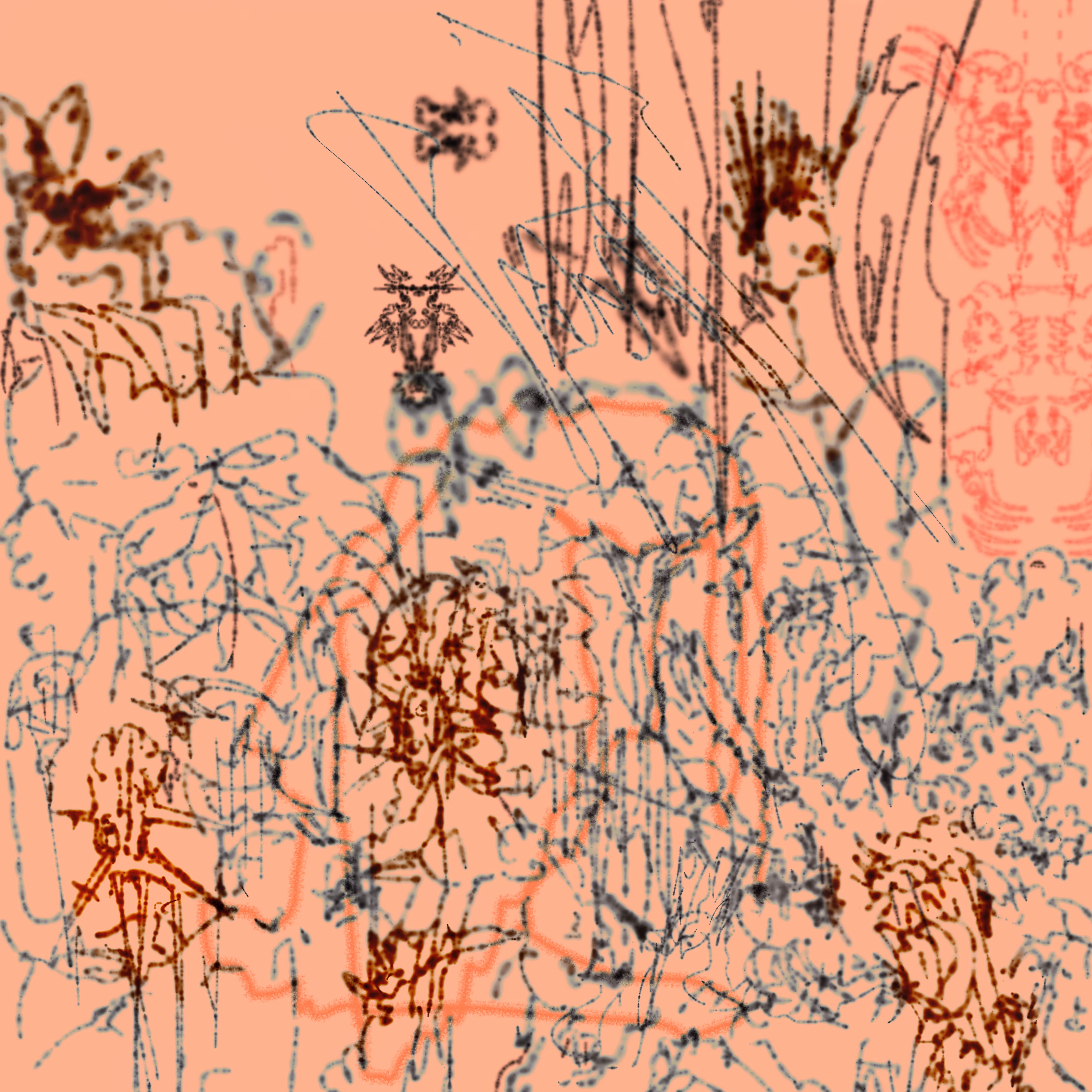 IıI: Rough dimension