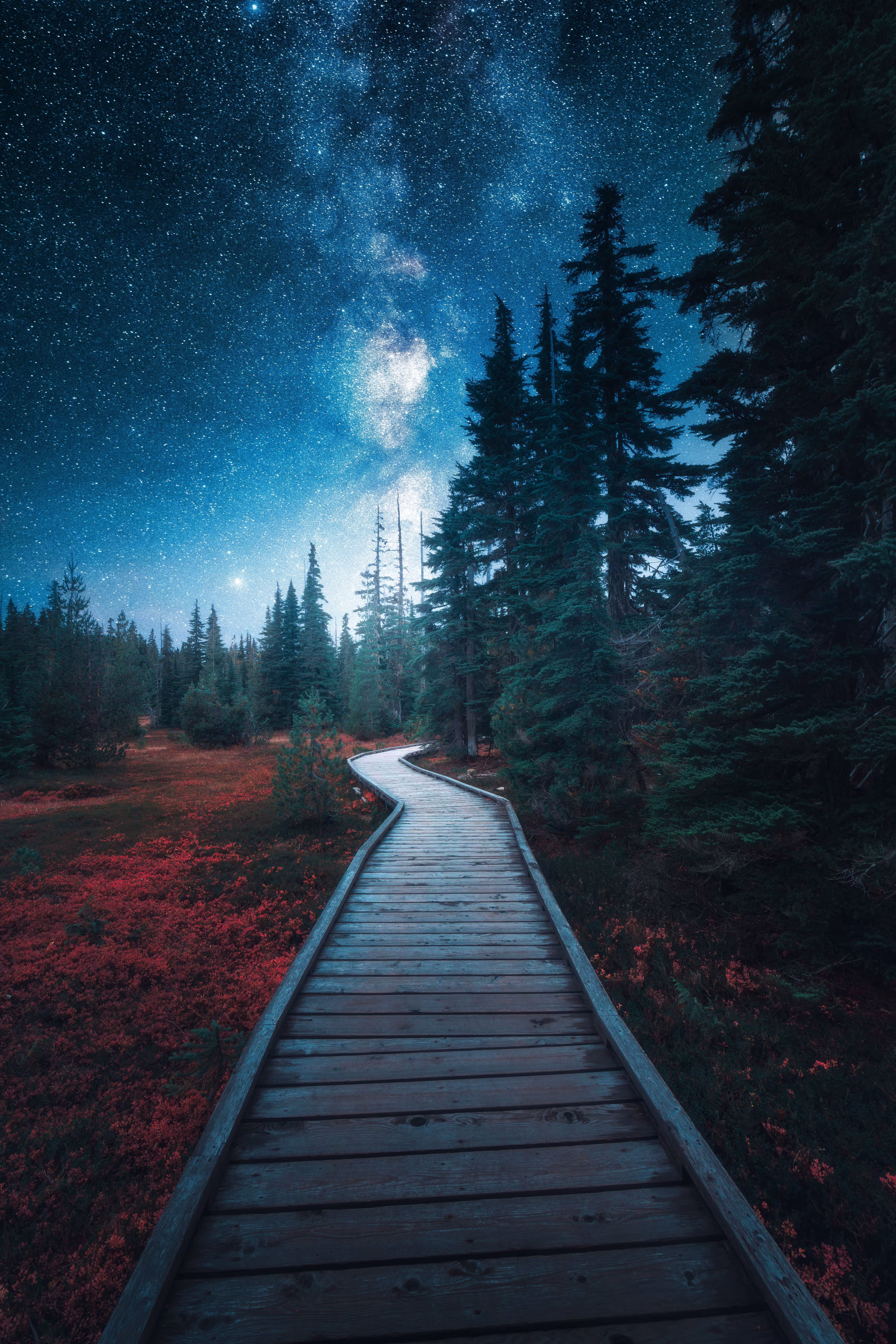 Galactic Pathways