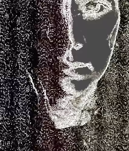 Sequins