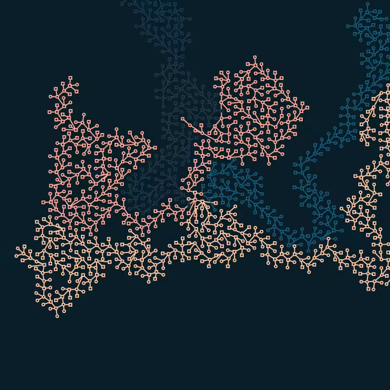 Networks #34