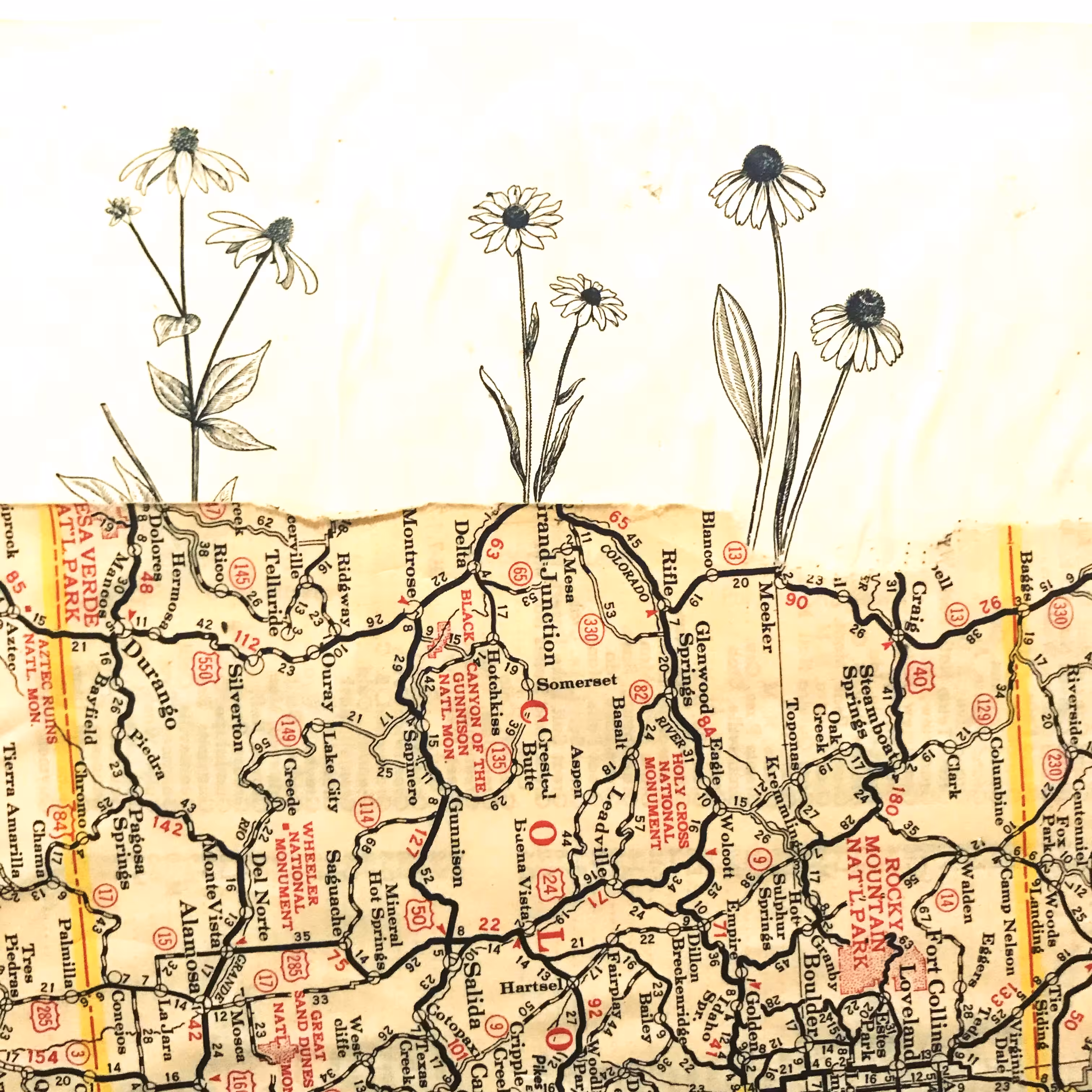 Flower Map